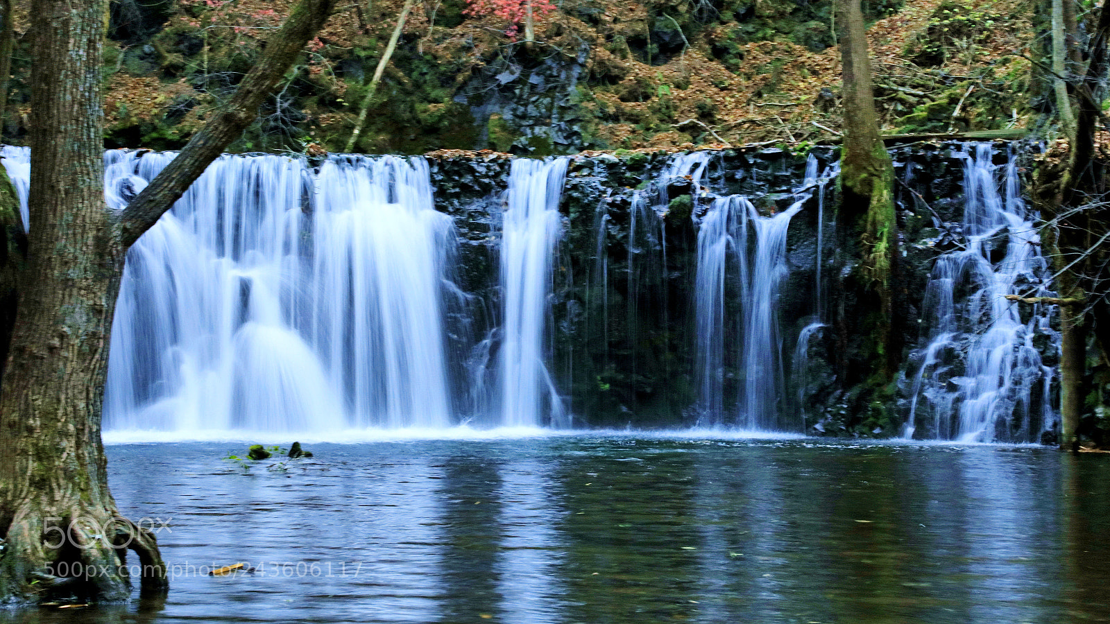 Canon EOS 5DS R sample photo. Untitled photography