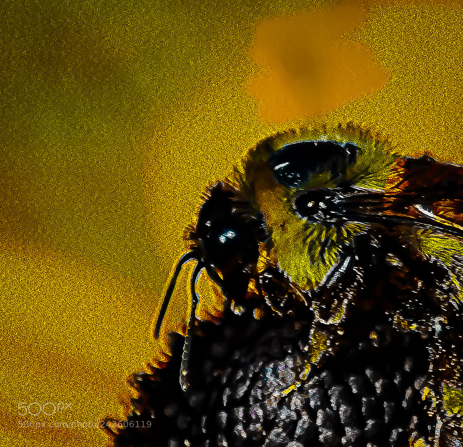 Nikon D3400 sample photo. Echinatia and the bee photography