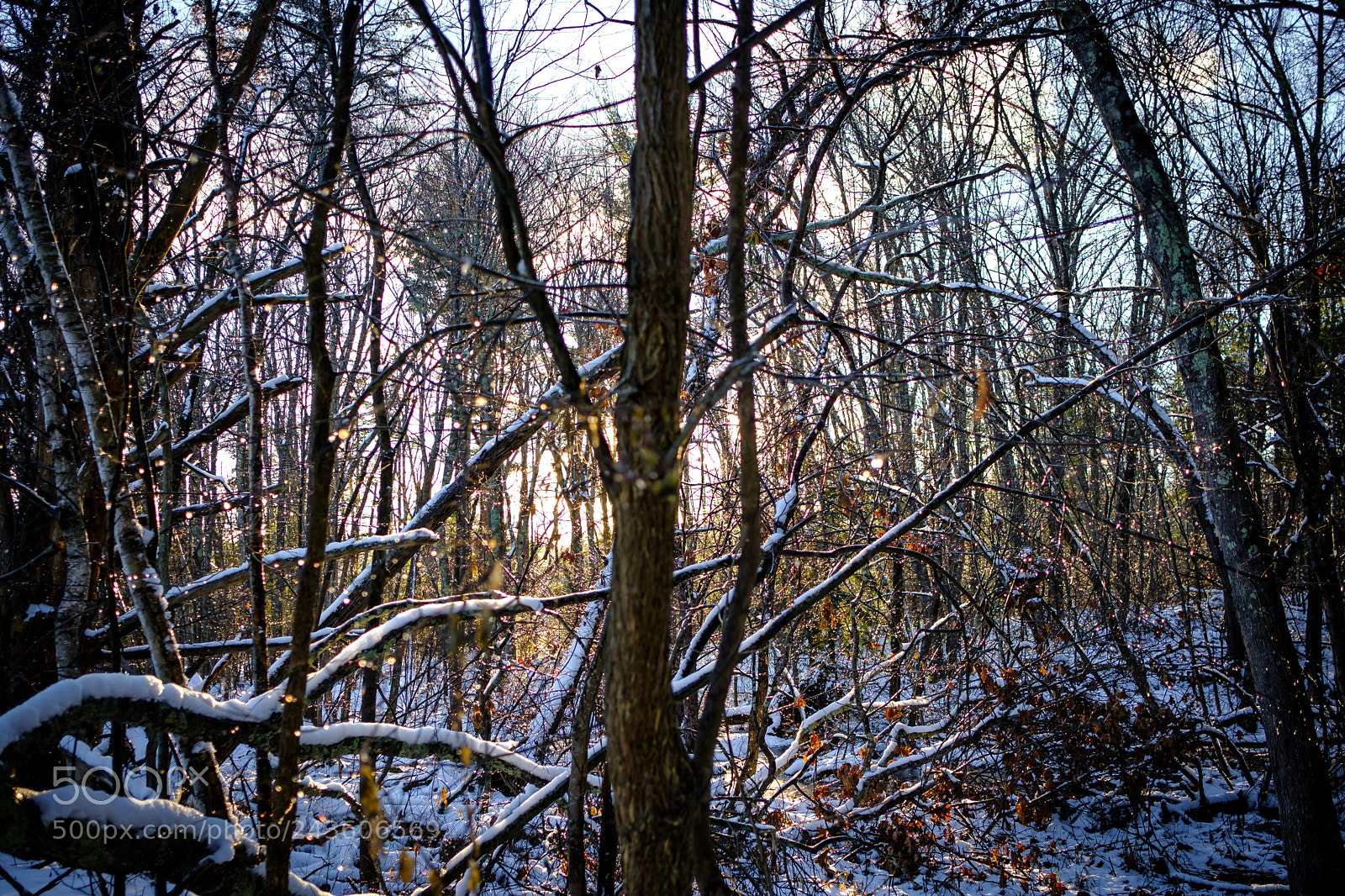 Fujifilm X-T2 sample photo. Shades of ice and photography