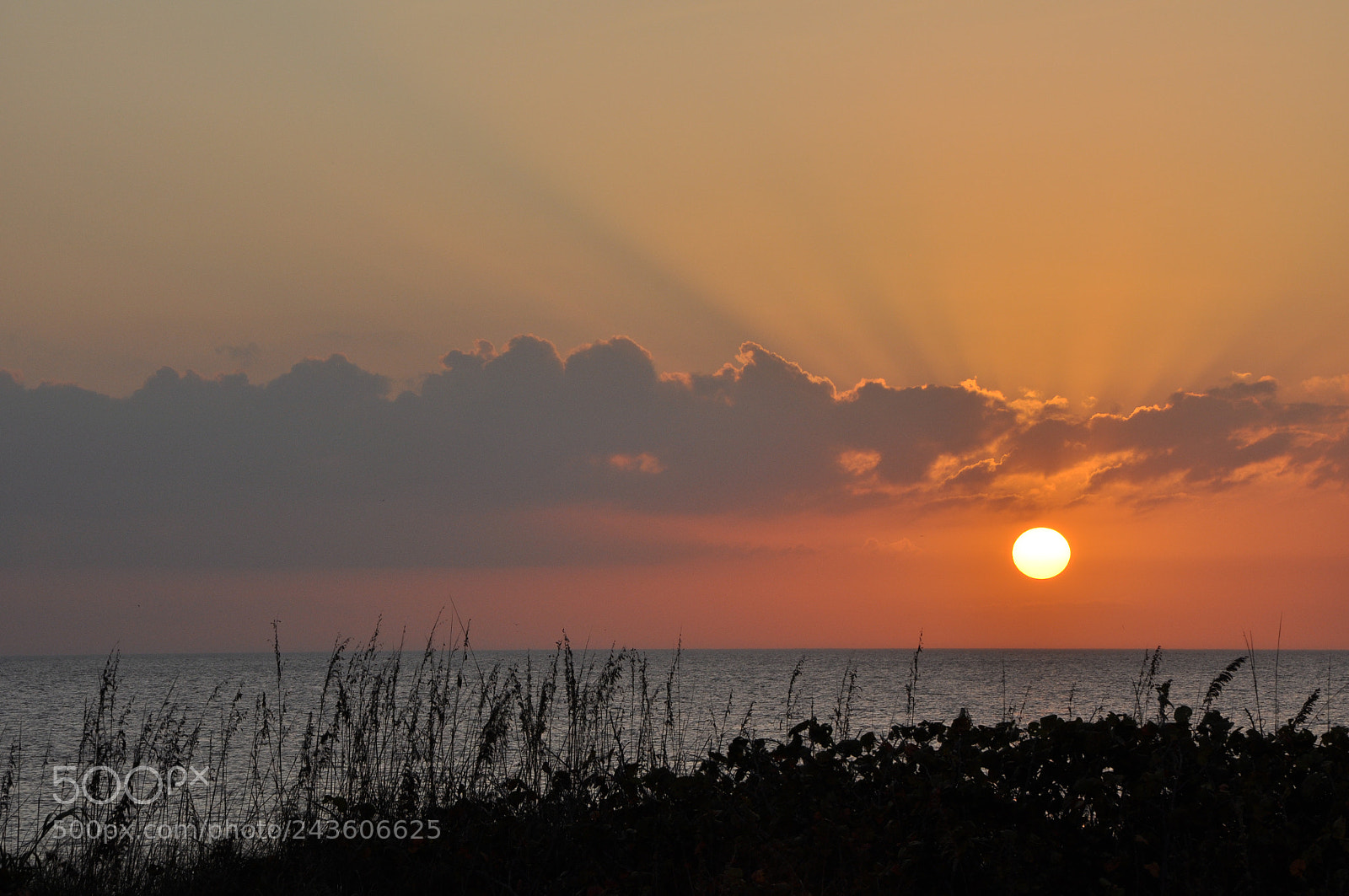 Nikon D90 sample photo. Sunset over marsh photography