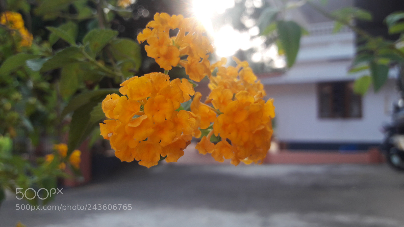 Samsung Galaxy J7 sample photo. Untitled photography