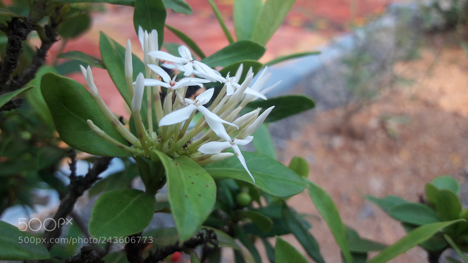 Samsung Galaxy J7 sample photo. Untitled photography
