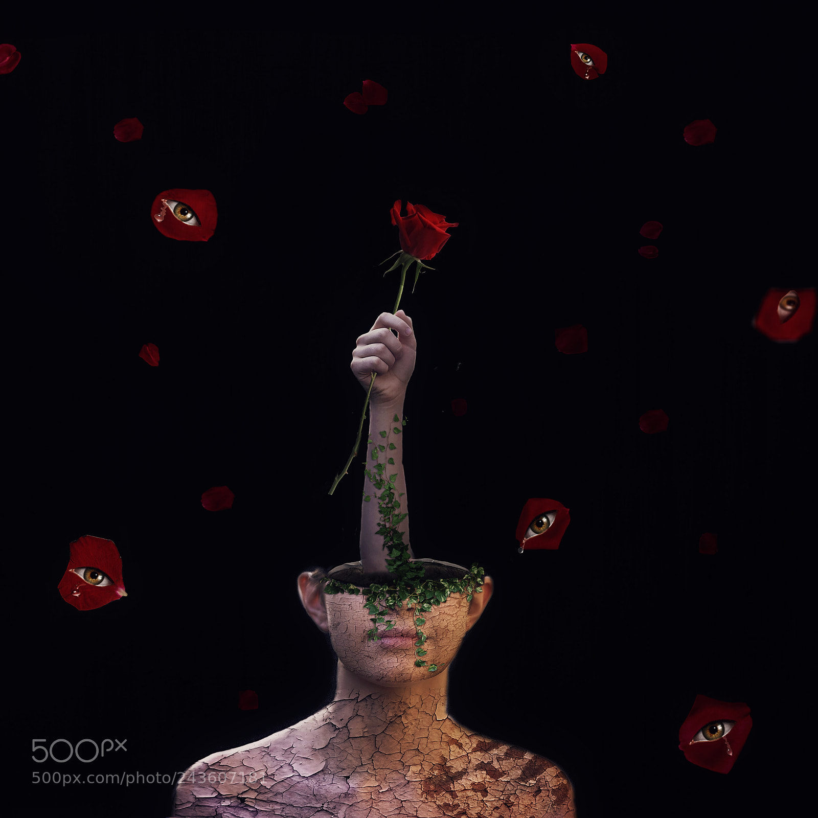Nikon D610 sample photo. Sur la mort d'une photography