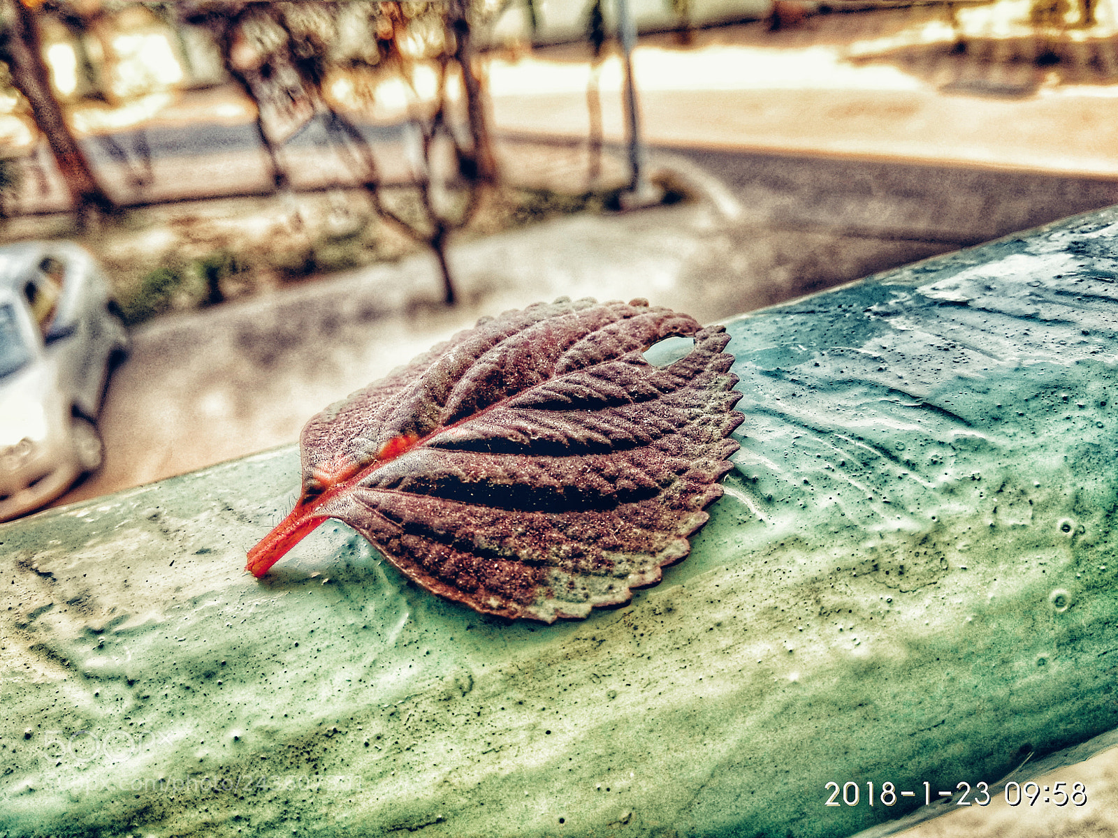 Xiaomi Redmi Note 4 sample photo. Everything has to leave photography