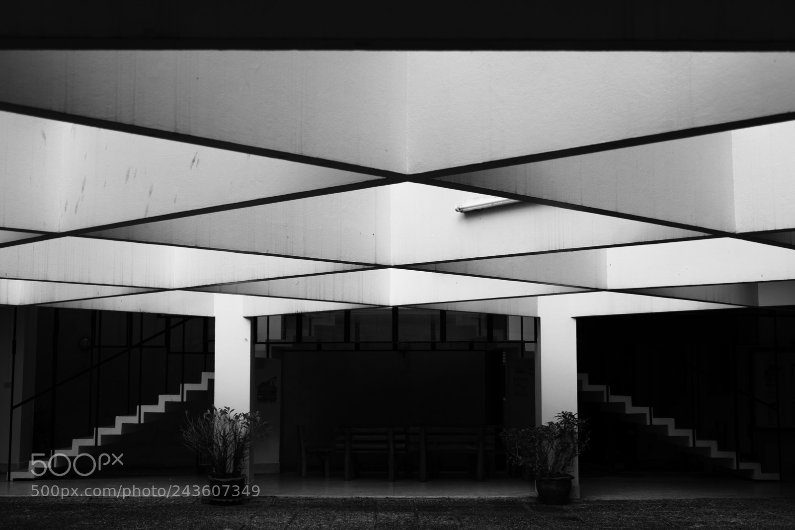 Sony a7 II sample photo. Structure of roof and photography