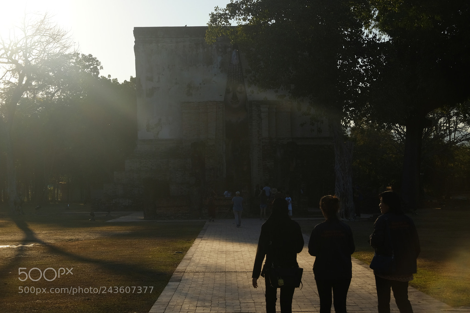 Fujifilm X-T10 sample photo. Untitled photography