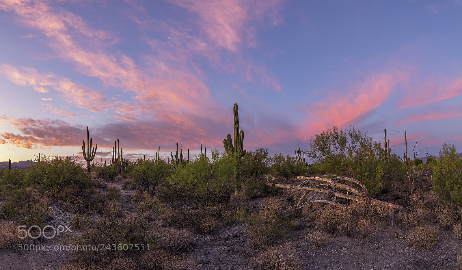 Canon EOS 5DS sample photo. Arizona classic photography