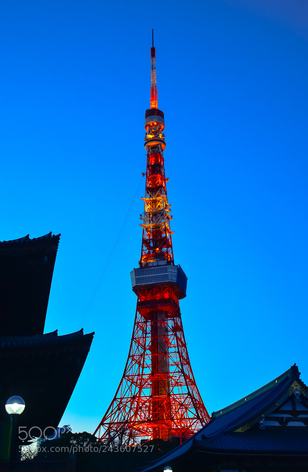 Nikon D7100 sample photo. 東京タワー photography