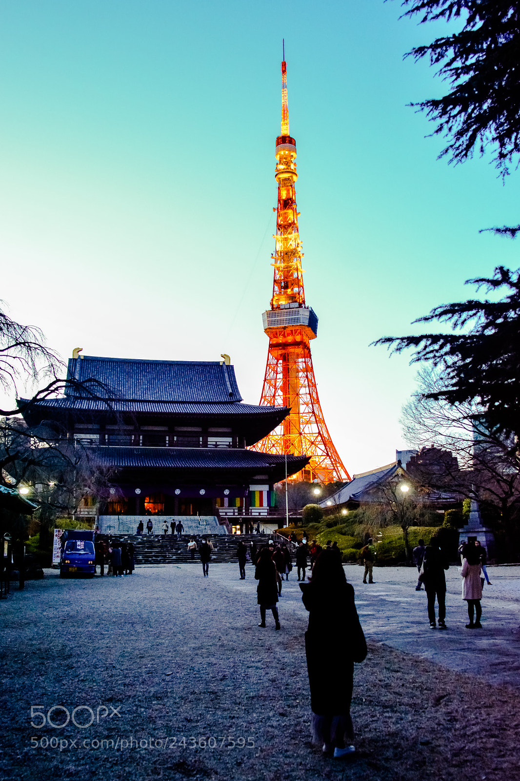 Nikon D7100 sample photo. 東京タワー photography