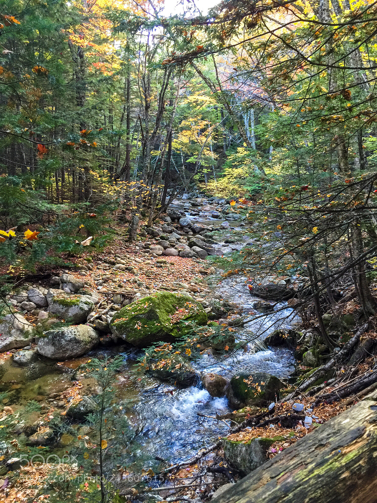 Apple iPhone 6 Plus sample photo. Fall water photography