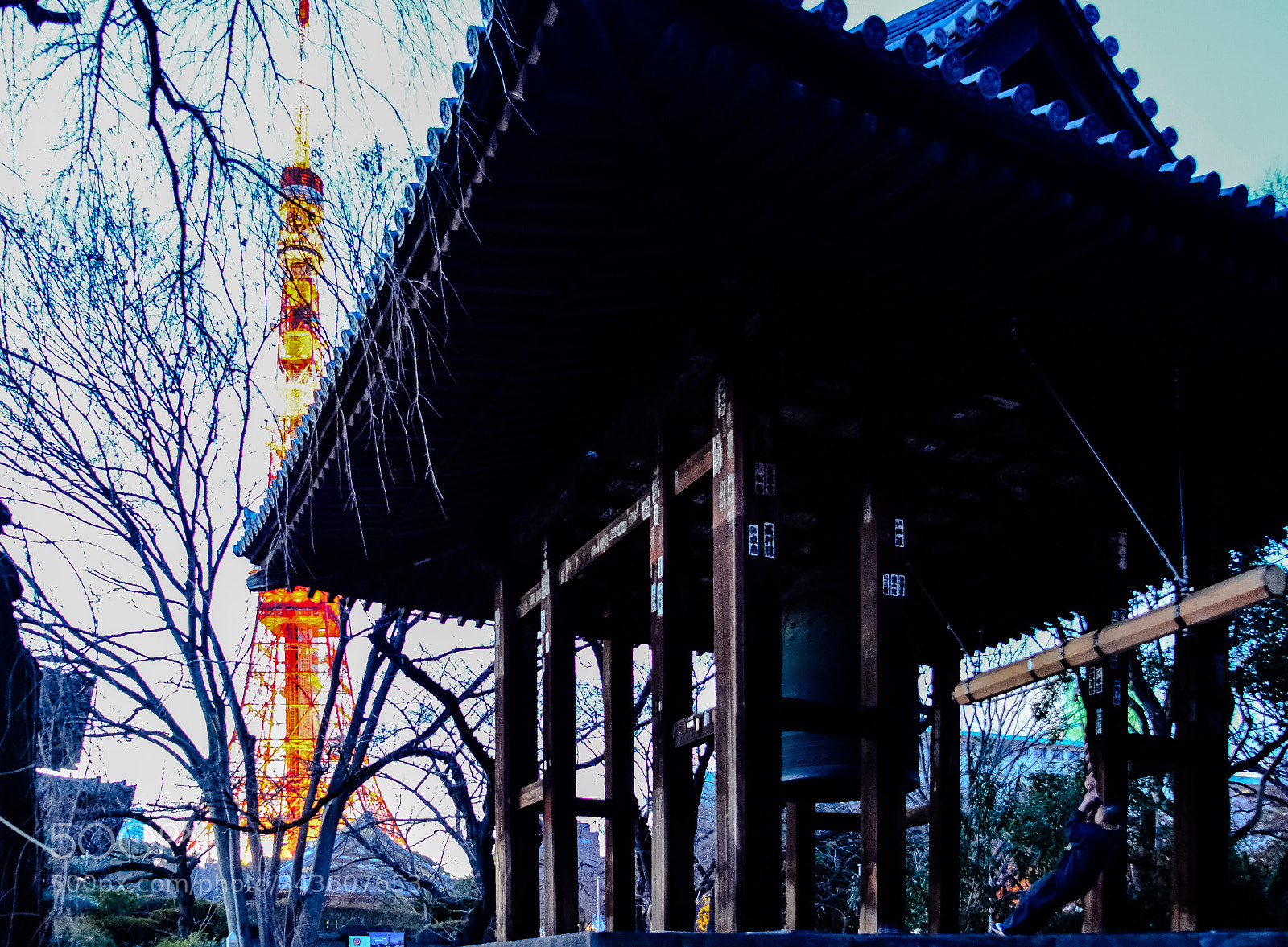 Nikon D7100 sample photo. 東京タワー photography