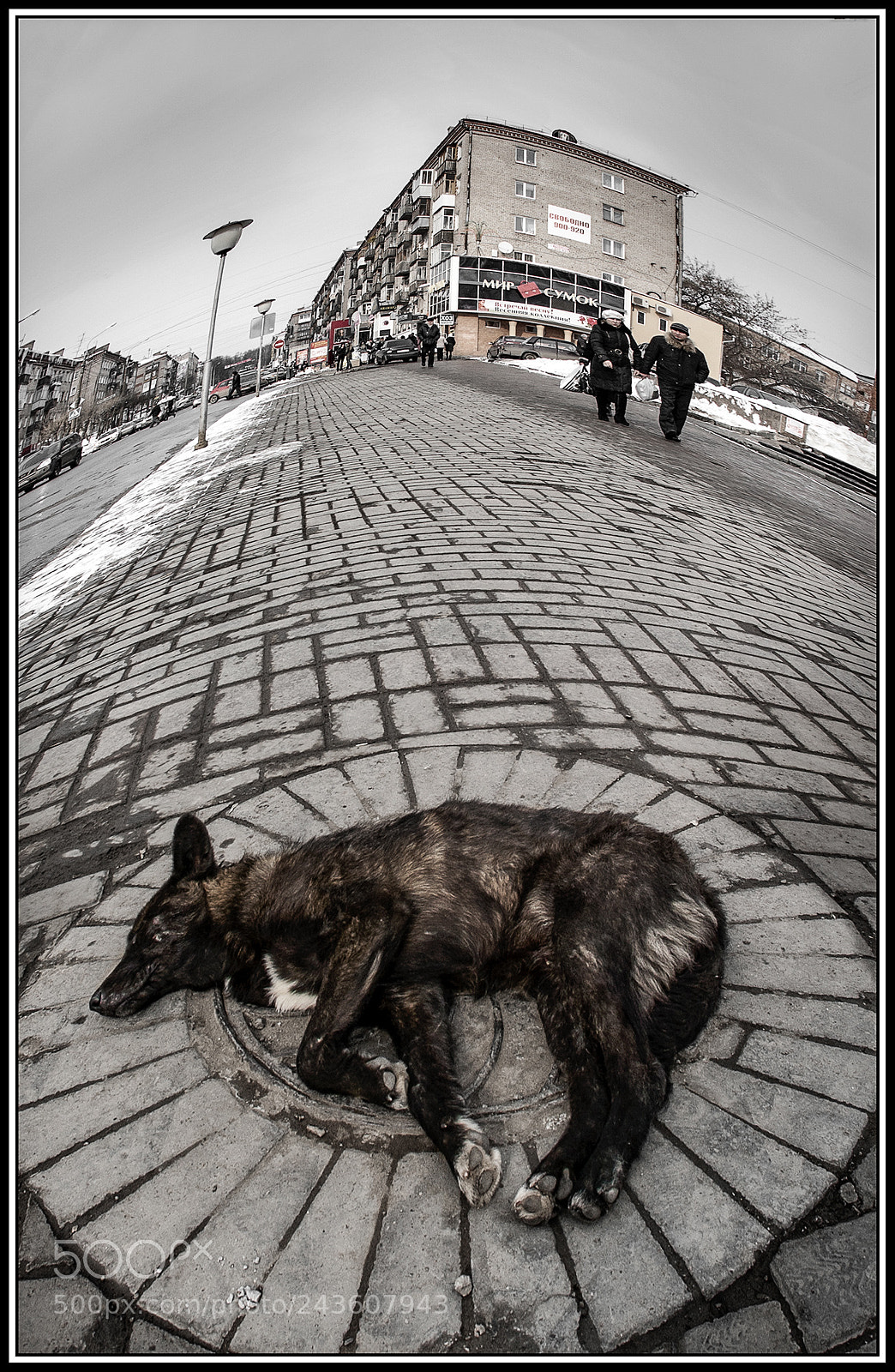 Canon EOS 10D sample photo. Одиночество в большом photography