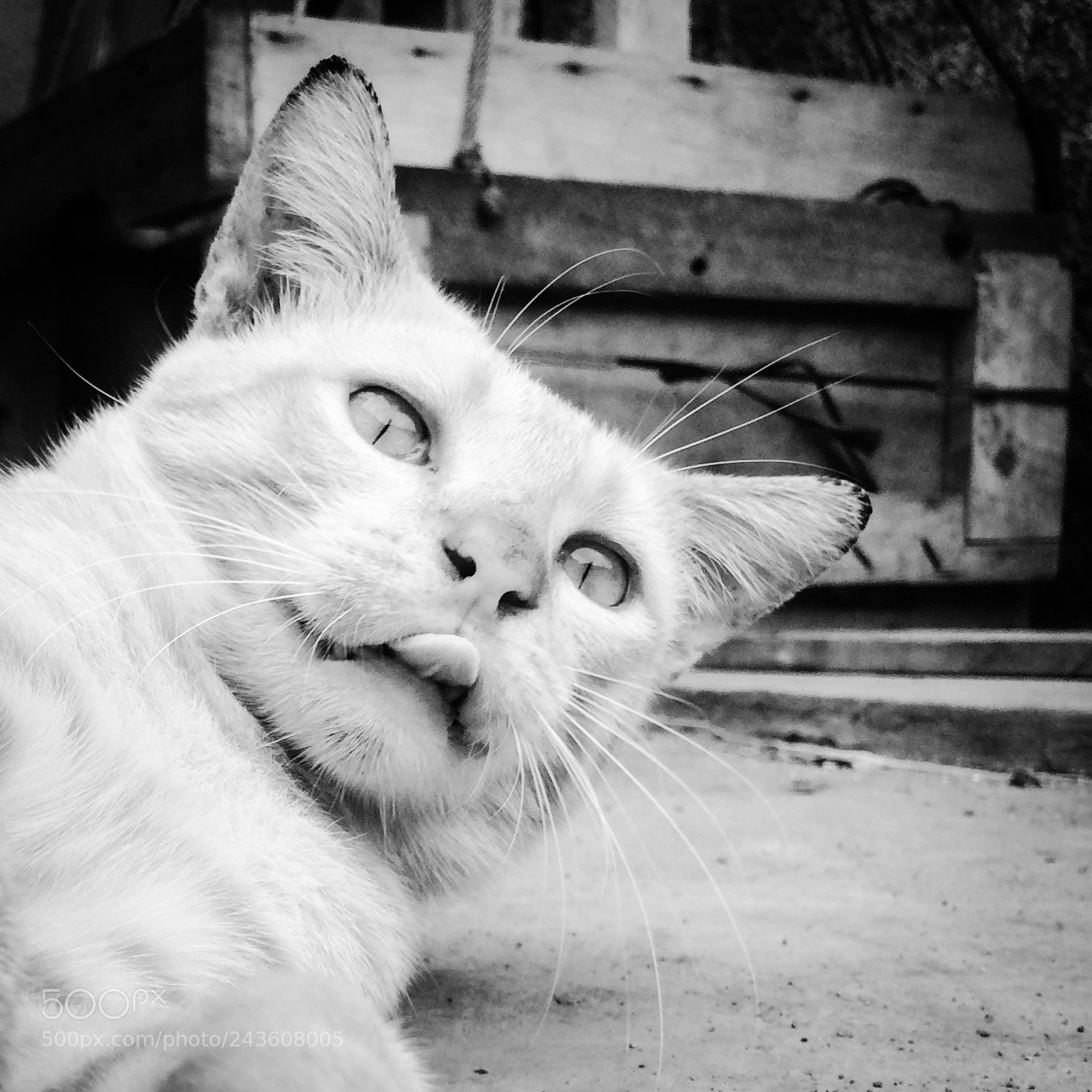 Apple iPhone 5s sample photo. :p photography