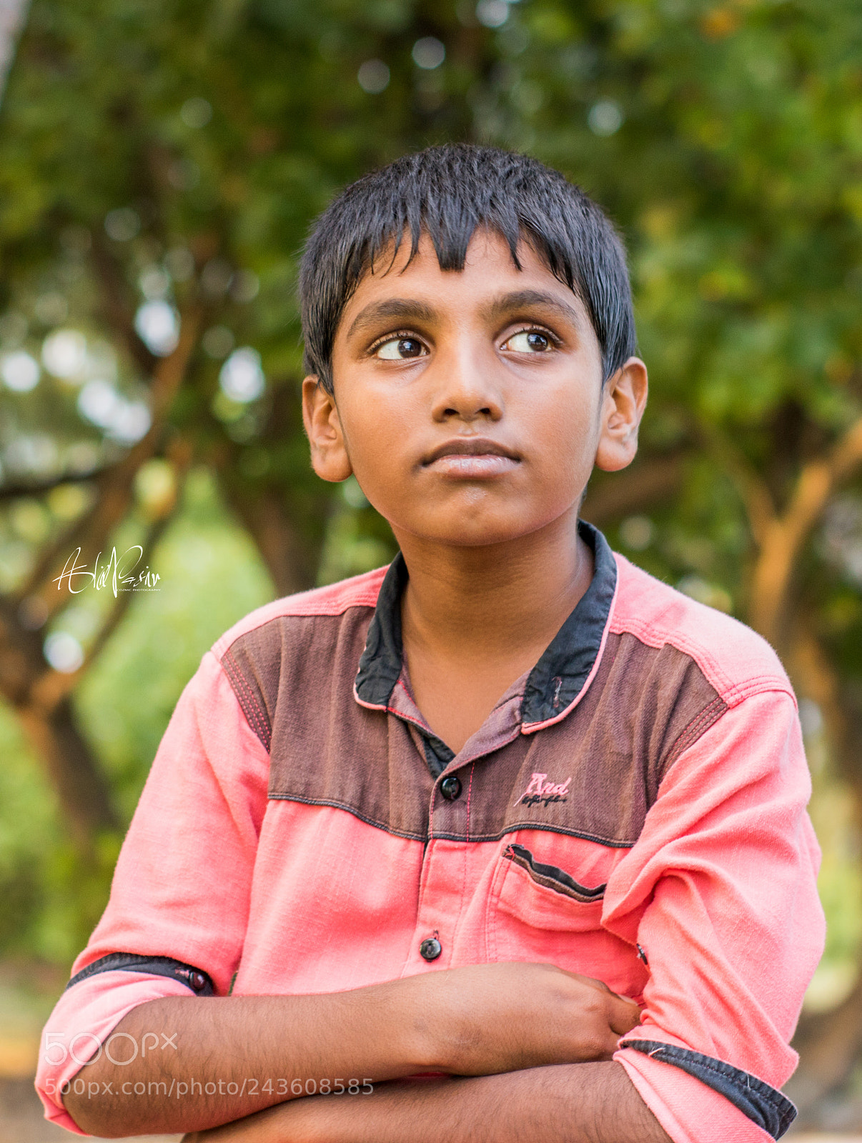 Canon EOS 760D (EOS Rebel T6s / EOS 8000D) sample photo. Untitled photography