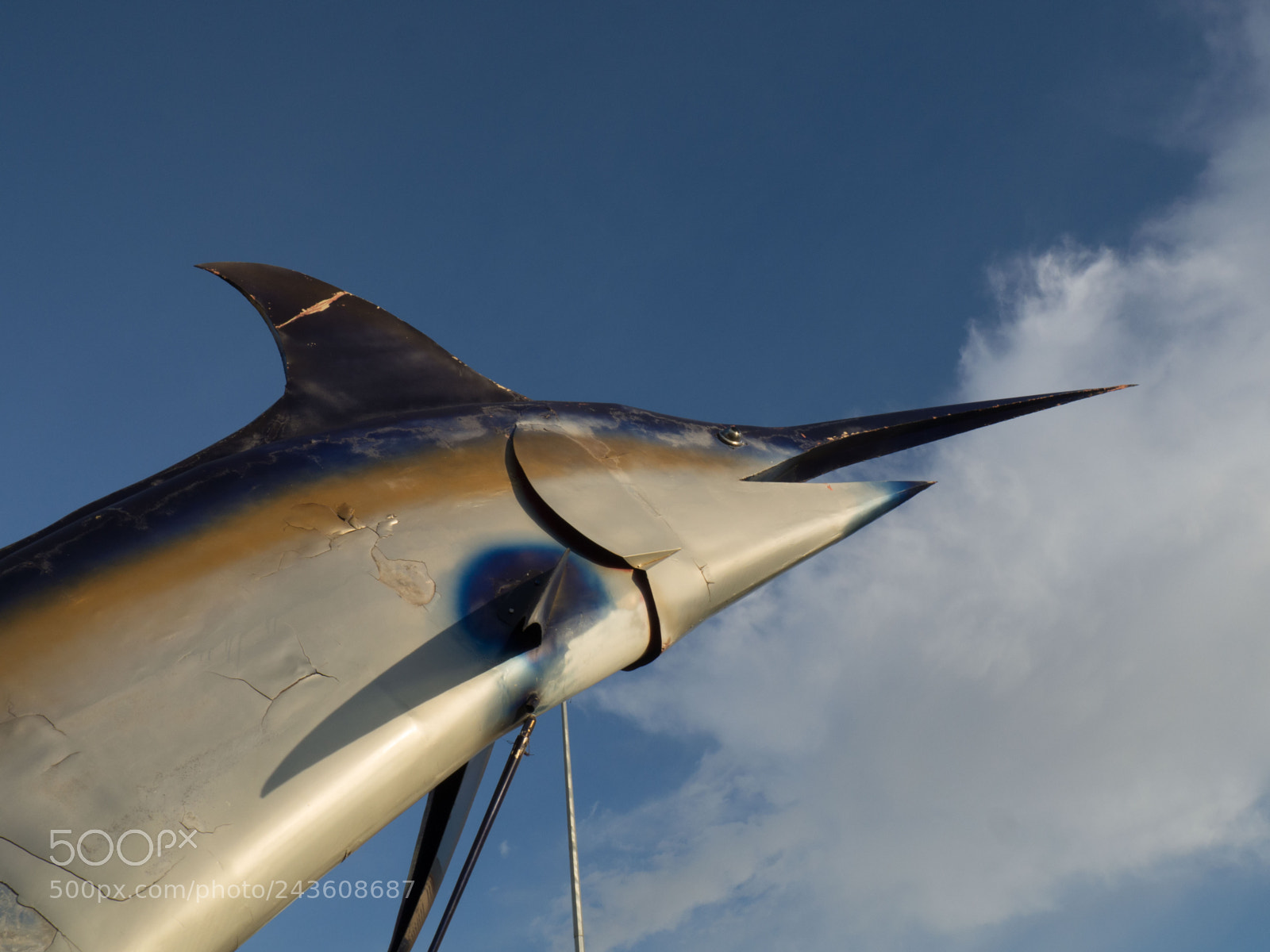 Olympus OM-D E-M10 sample photo. Monument of a marlin photography