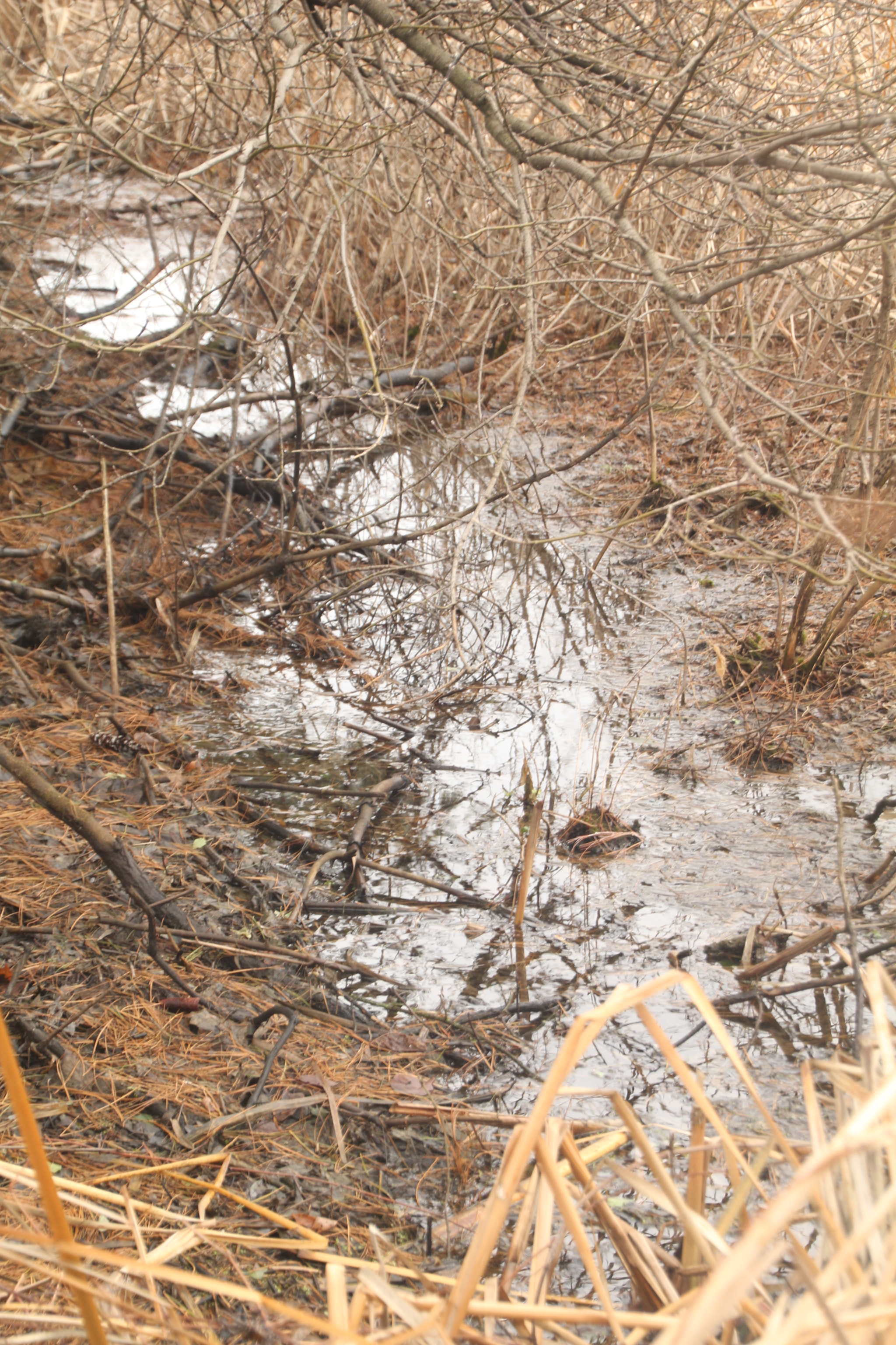 Canon EOS 1200D (EOS Rebel T5 / EOS Kiss X70 / EOS Hi) sample photo. Puddle below a hill. 在山下面的水坑里 puddle y colina. photography