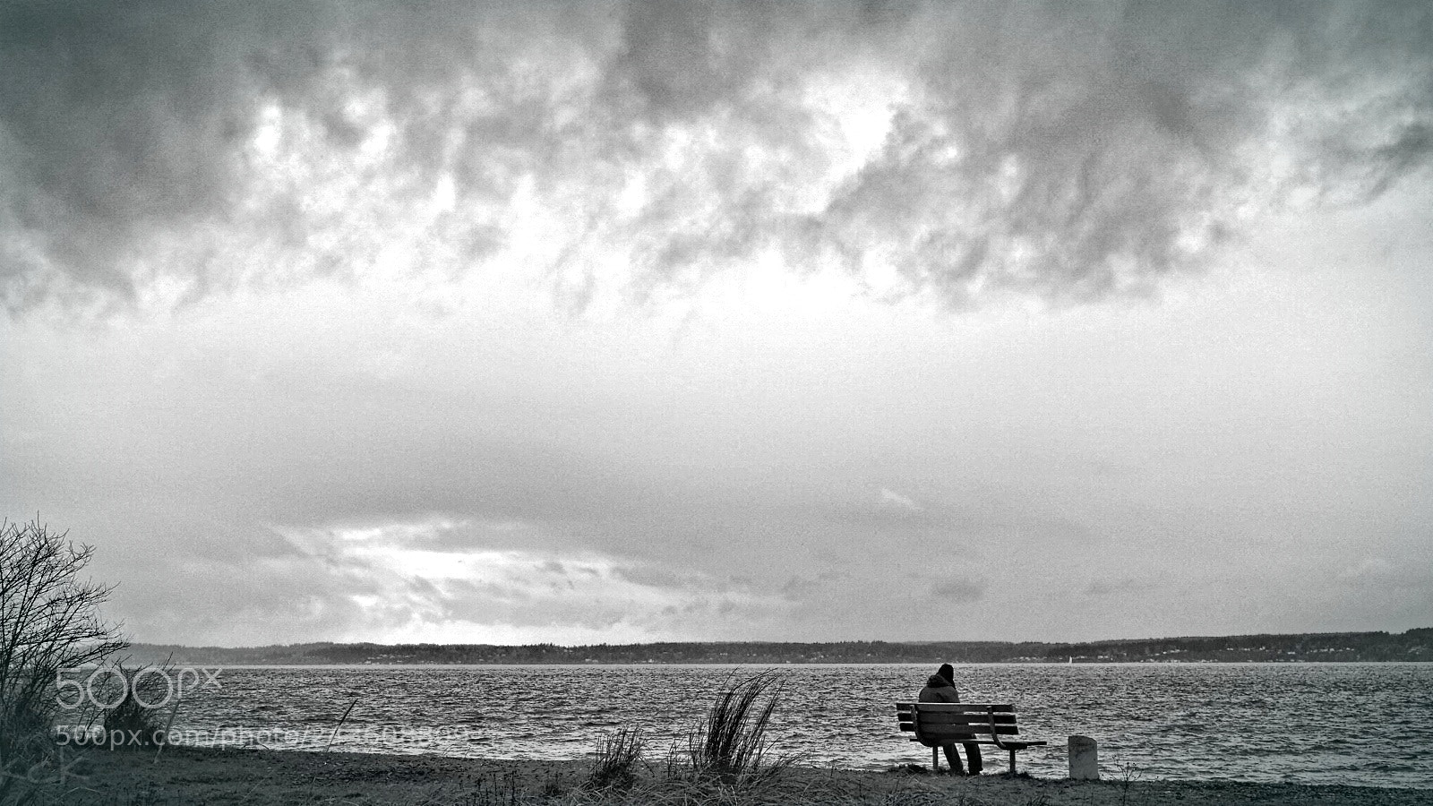 Olympus OM-D E-M10 II sample photo. Dark dreams. photography