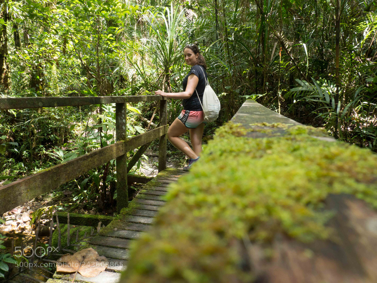 Olympus OM-D E-M10 sample photo. Scene in rainforest photography