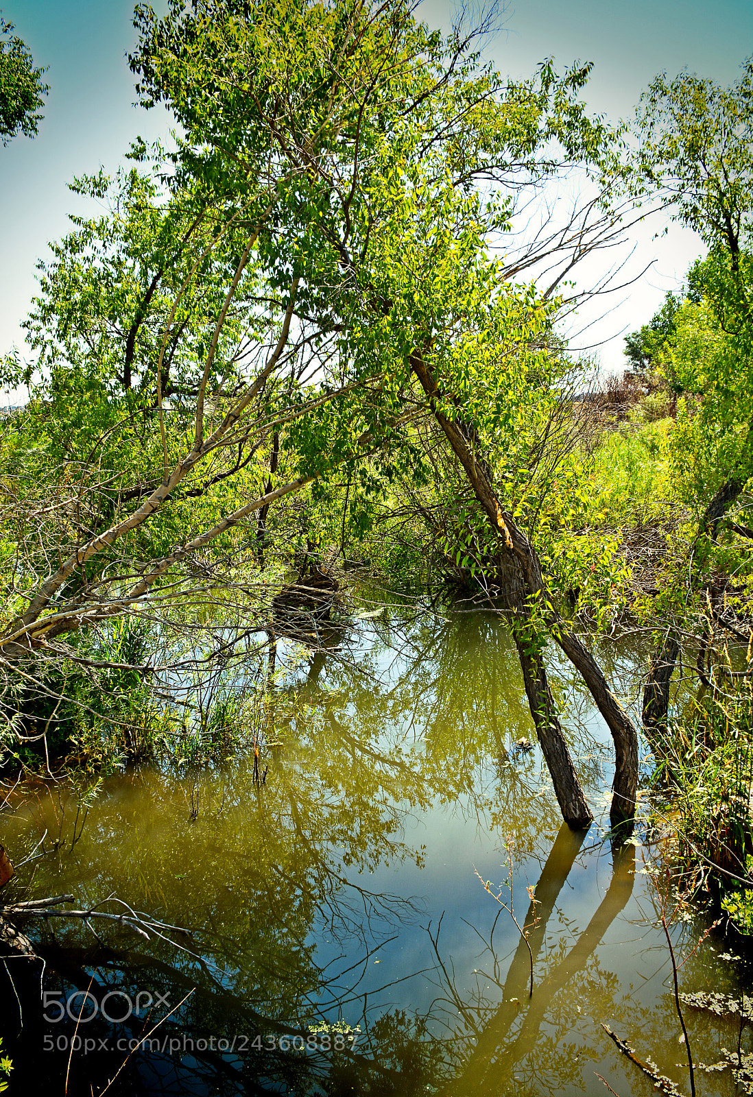Nikon D7100 sample photo. Cherry creek trail study 3 photography
