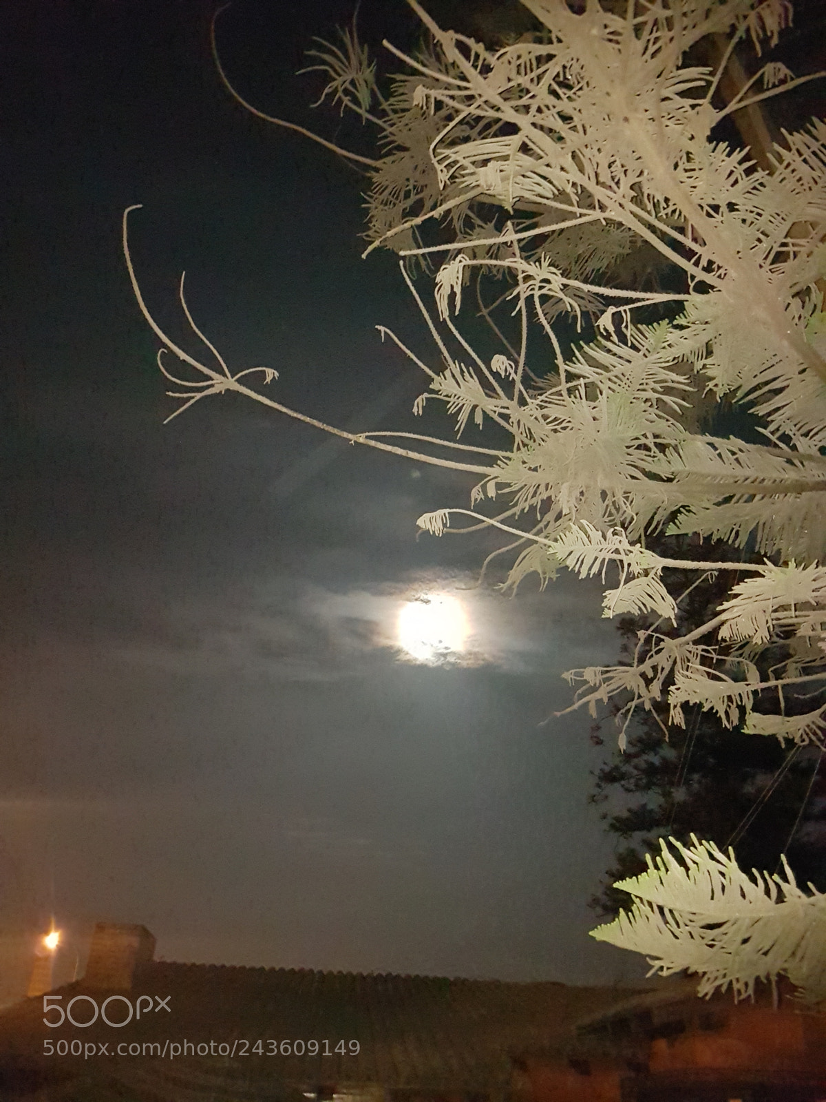 Samsung Galaxy S7 Edge sample photo. The moon photography