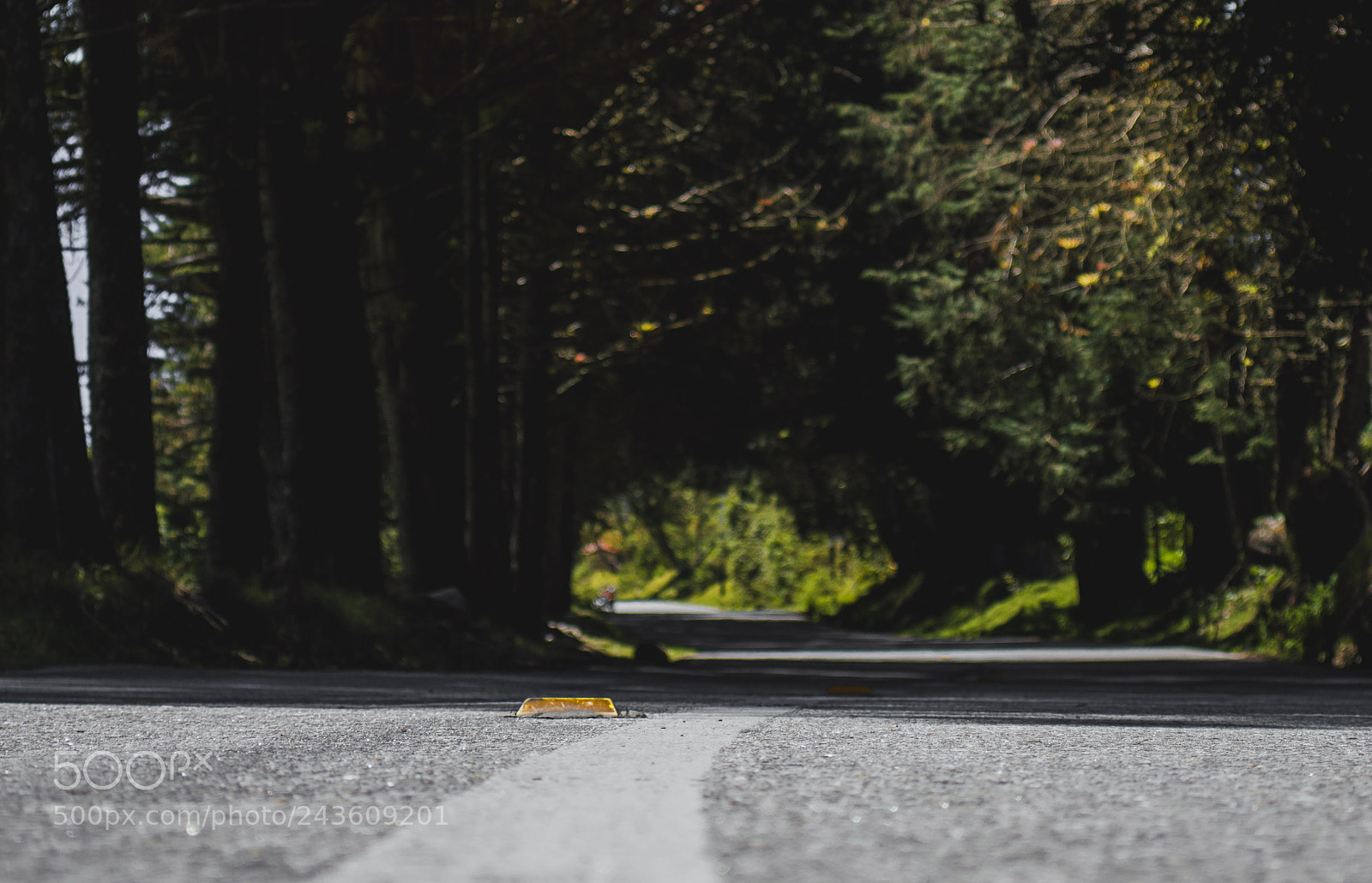 Nikon D3200 sample photo. Road to the valley photography