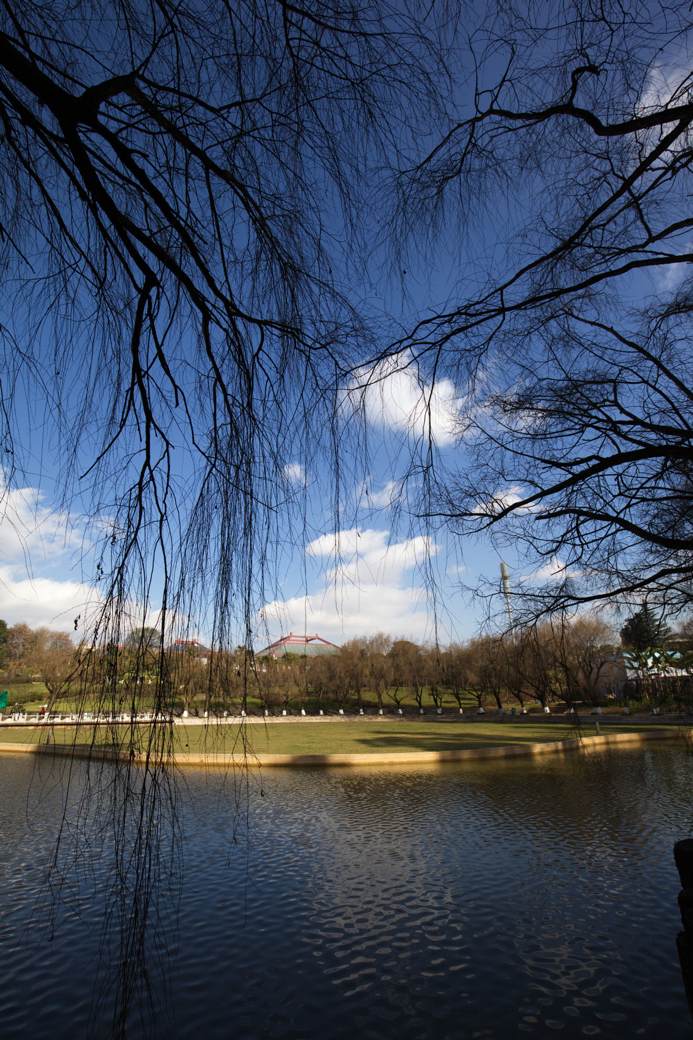 Canon EF 16-35mm F4L IS USM sample photo