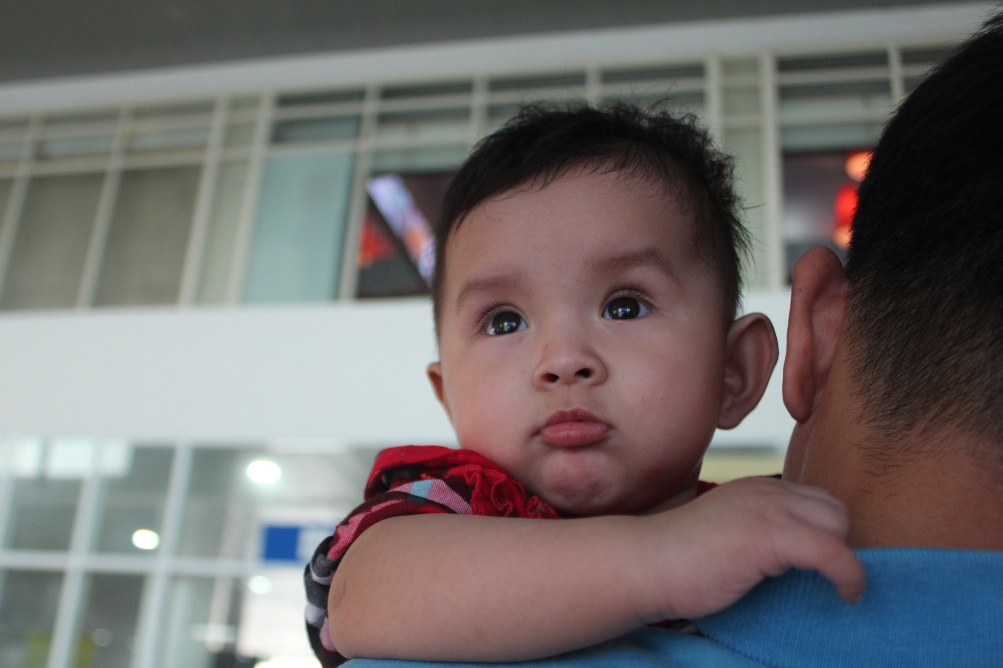 Canon EOS 550D (EOS Rebel T2i / EOS Kiss X4) sample photo. Img photography