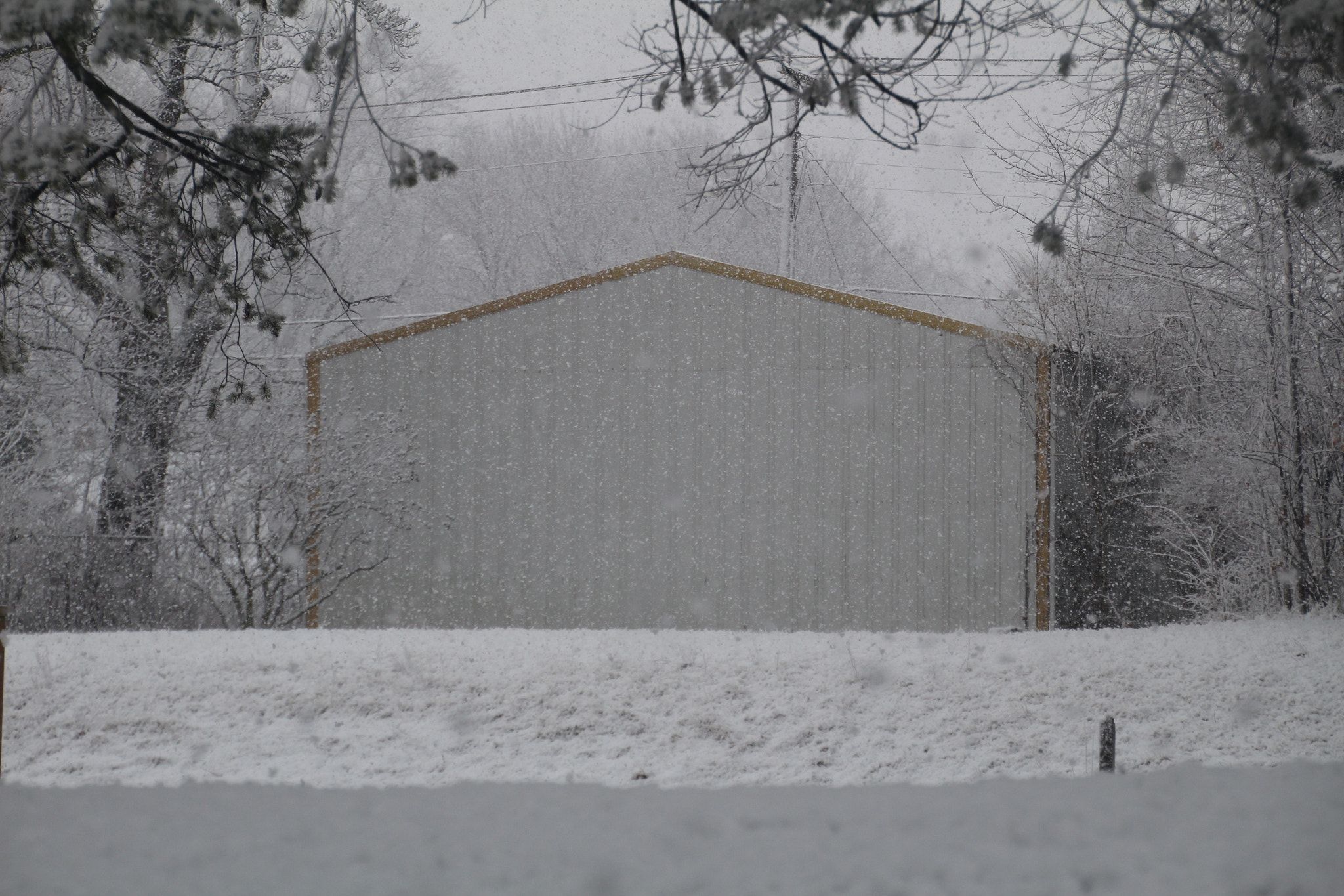 Canon EOS 1200D (EOS Rebel T5 / EOS Kiss X70 / EOS Hi) sample photo. White building and snowstorm. Белое здание метель. photography