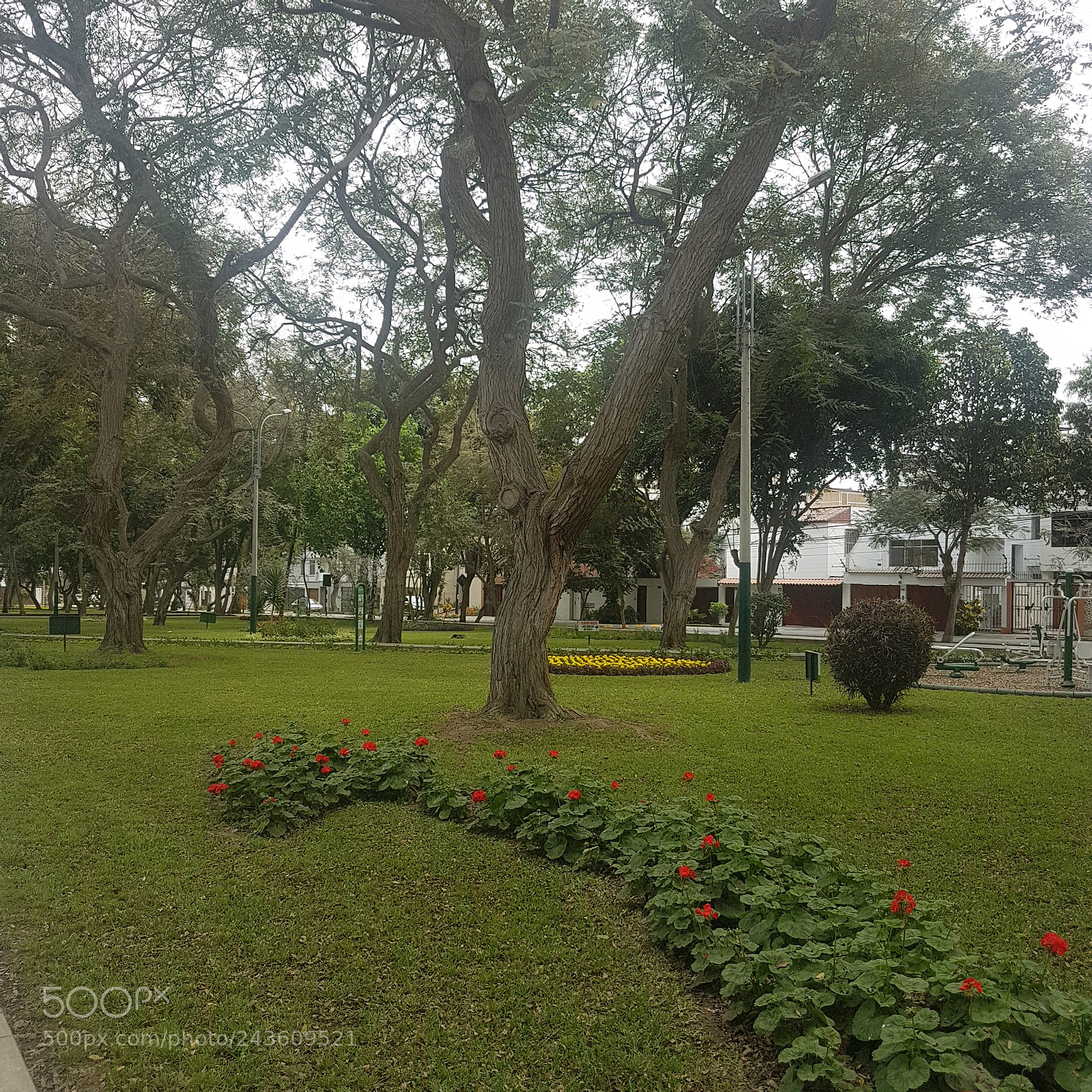 Samsung Galaxy S7 Edge sample photo. Park photography