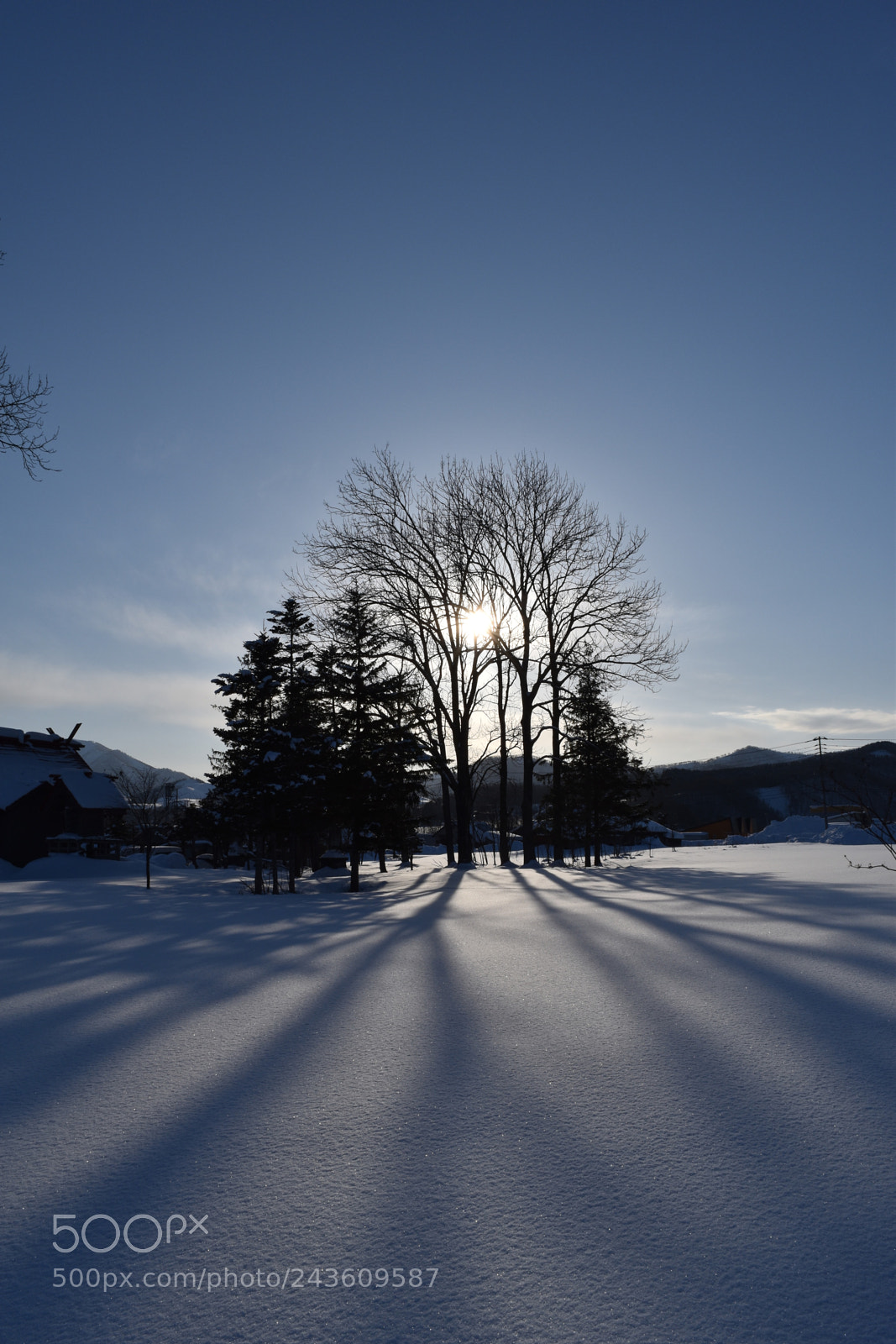 Nikon D5500 sample photo. 雪原の影 photography