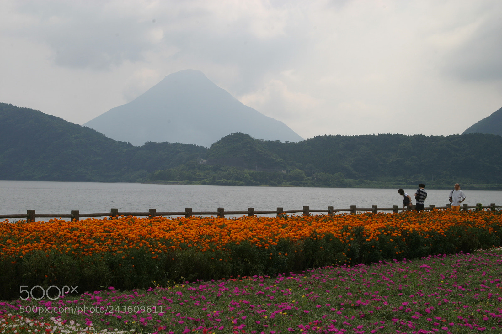 Canon EOS 10D sample photo. Lake ikeda photography