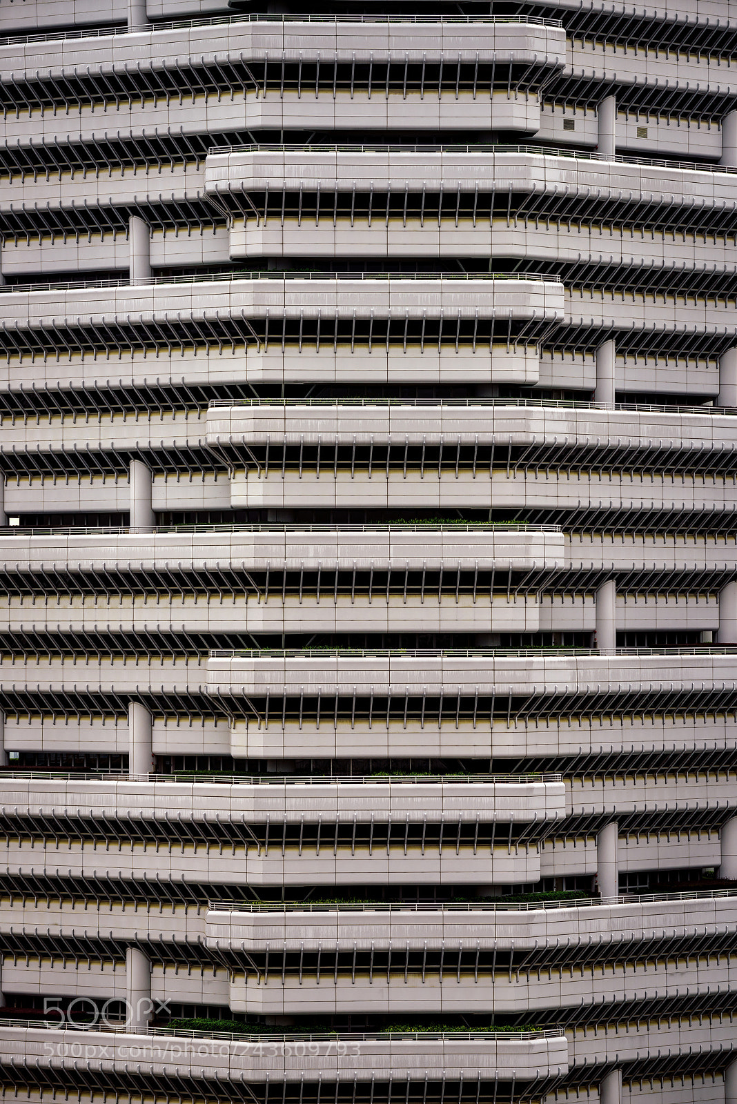 Nikon D810 sample photo. Weaving fortress photography