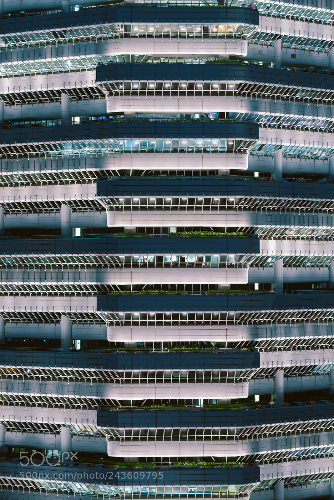 Nikon D810 sample photo. Weaving fortress ii photography