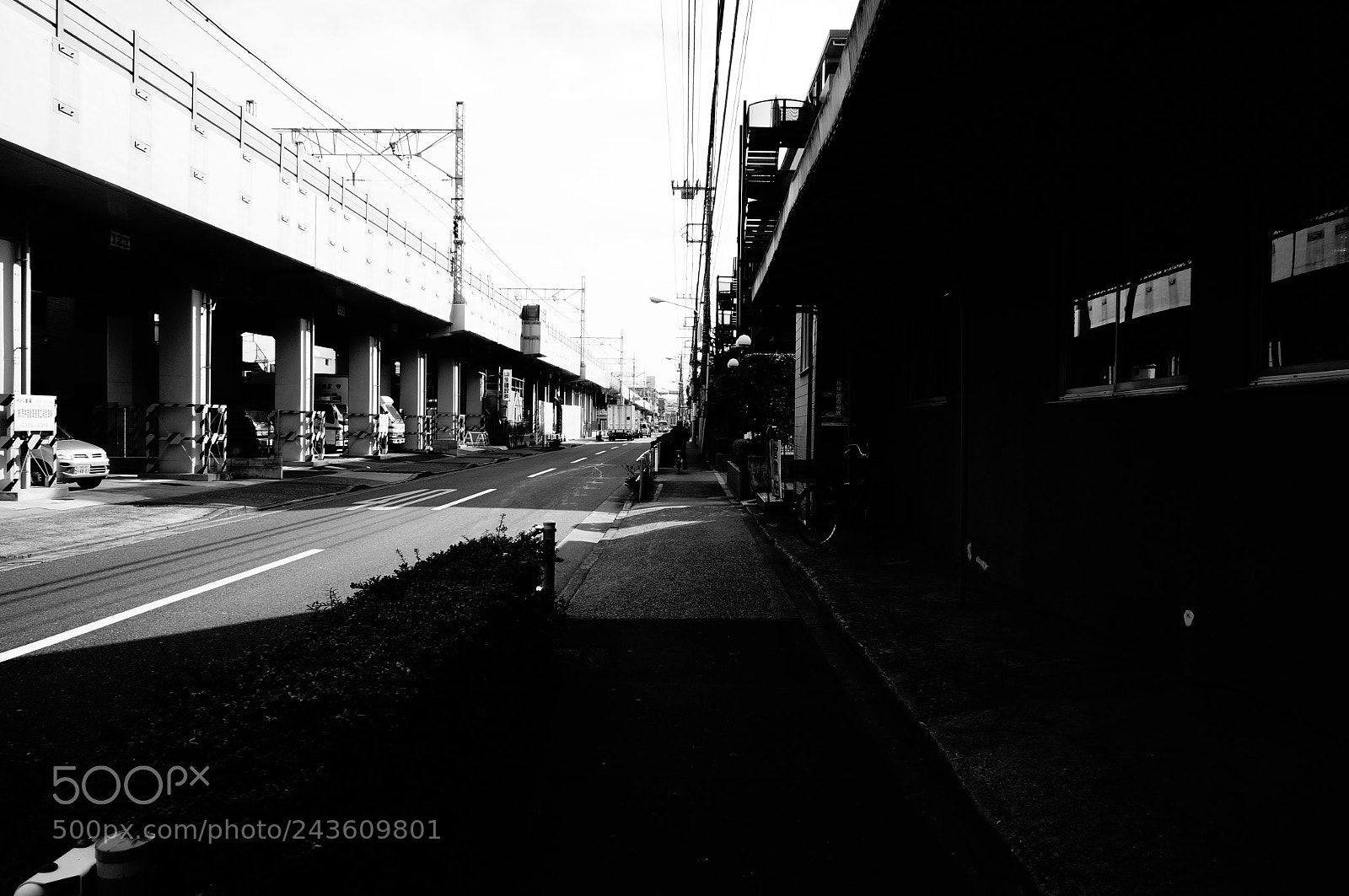 Sony Alpha NEX-5T sample photo. Path photography