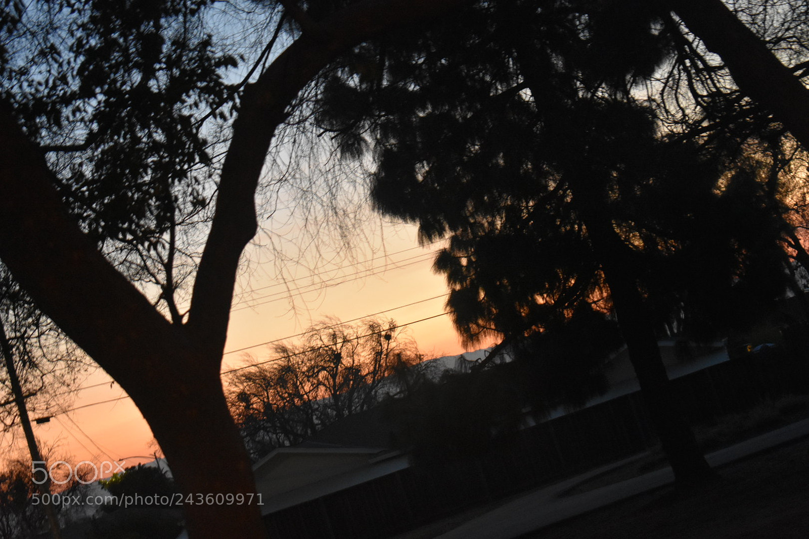 Nikon D3400 sample photo. Untitled photography