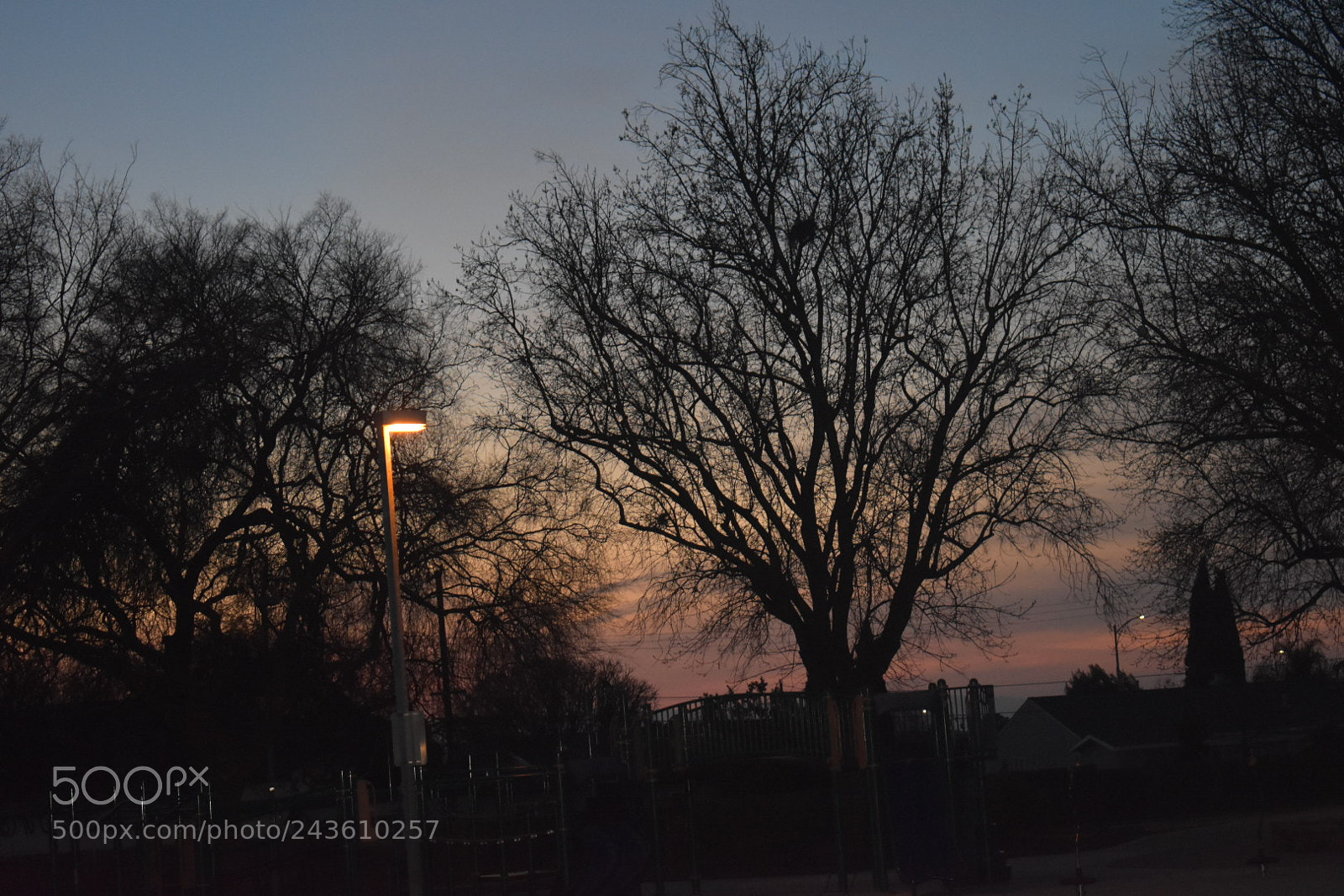 Nikon D3400 sample photo. Untitled photography