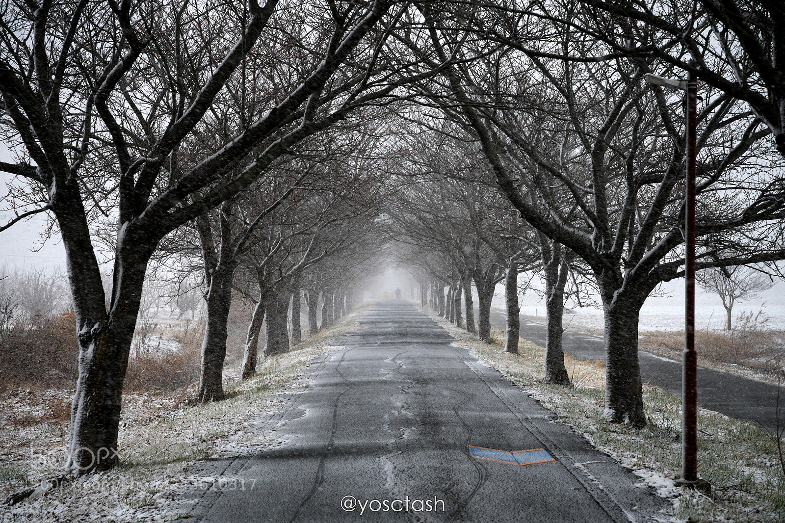 Sony a7 II sample photo. First snow photography