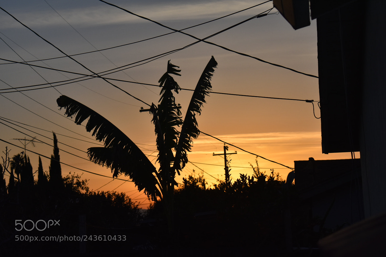 Nikon D3400 sample photo. Untitled photography