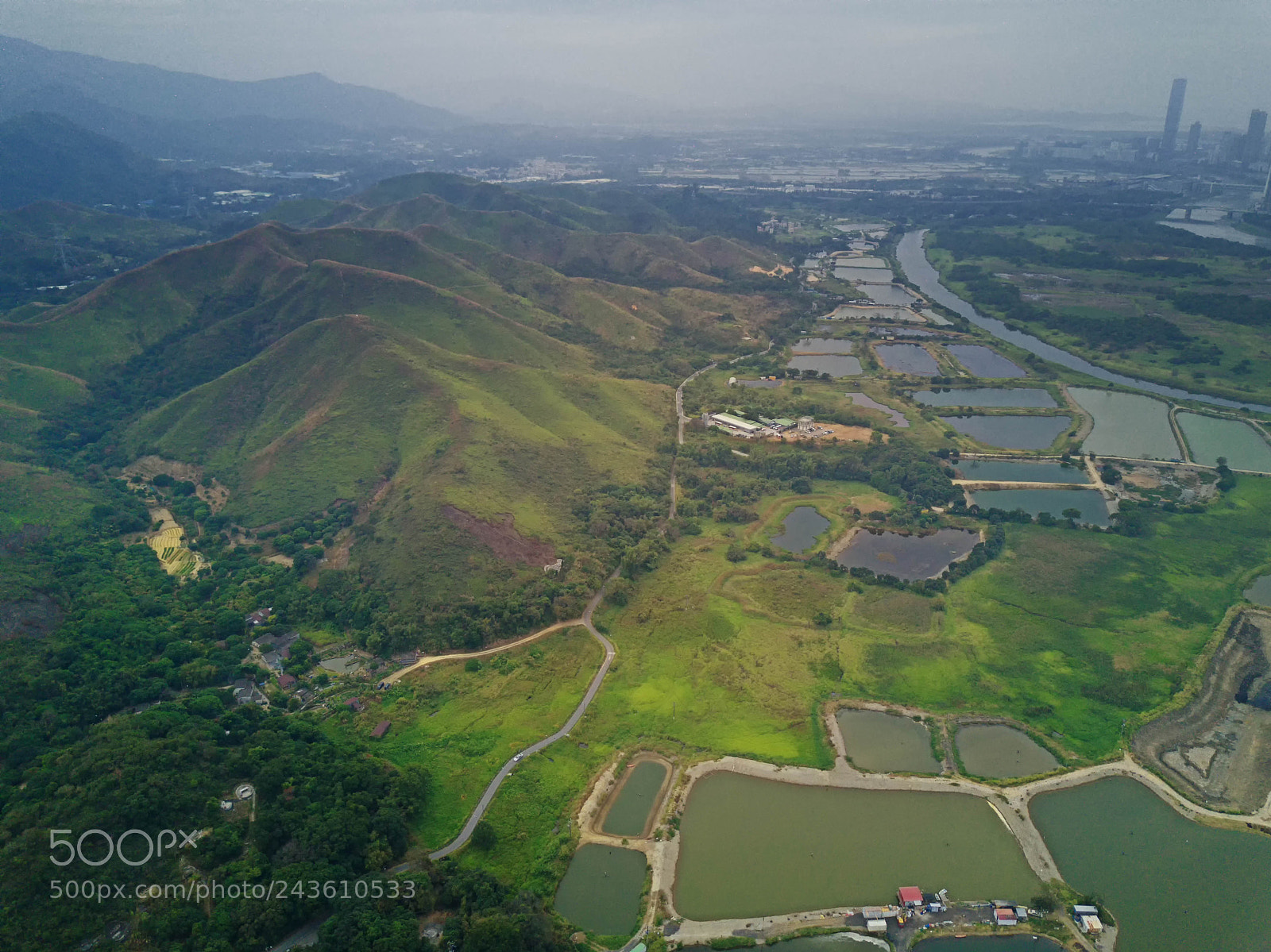 DJI FC220 sample photo. Rice field in ma photography