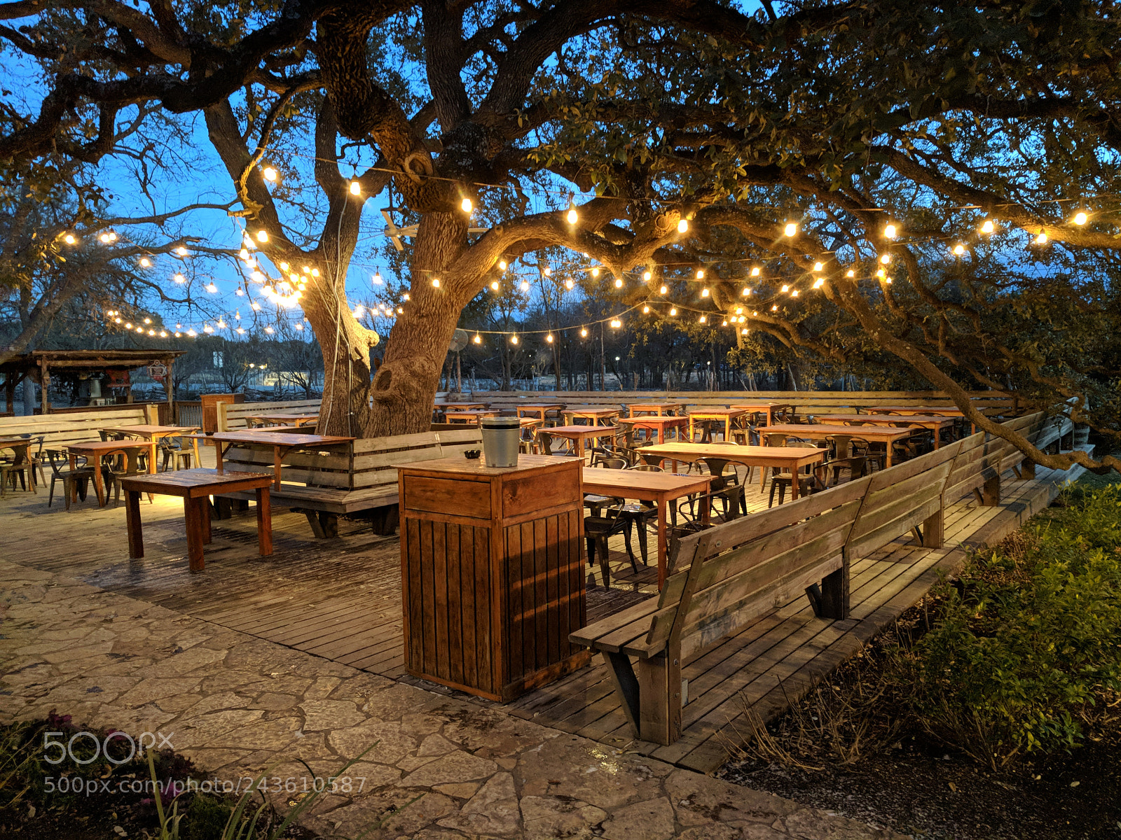 Google Pixel XL sample photo. Salt lick photography