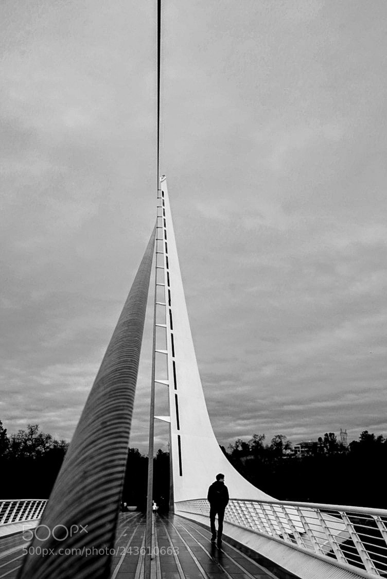 Sony a7 II sample photo. Sundial bridge photography