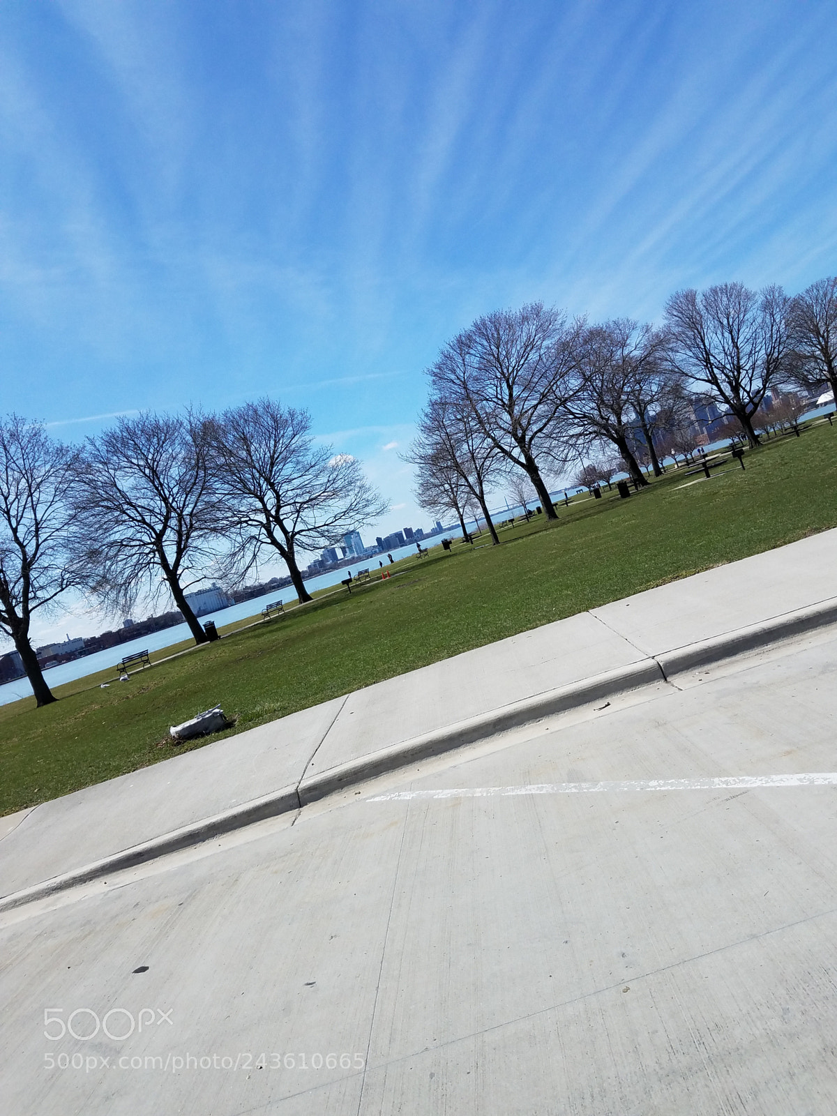 Samsung Galaxy S7 Edge sample photo. Detroit through the trees photography