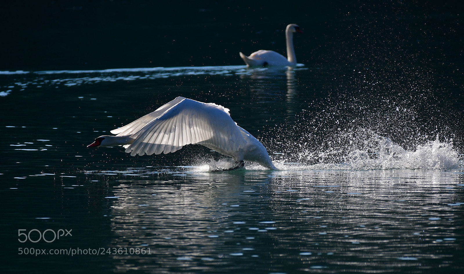 Nikon D7500 sample photo. At the start photography