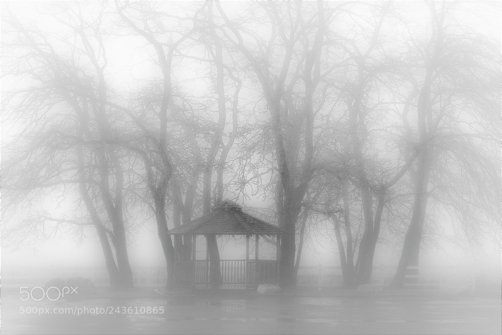 Canon EOS 60D sample photo. Fog -- 迷雾 photography