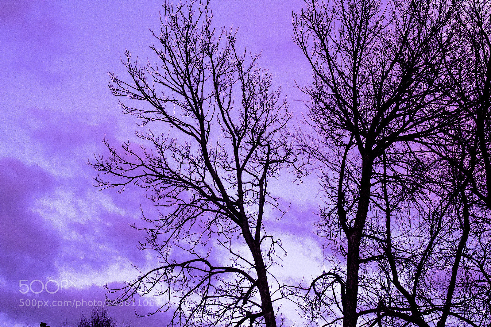 Canon EOS 1200D (EOS Rebel T5 / EOS Kiss X70 / EOS Hi) sample photo. Purple sky photography