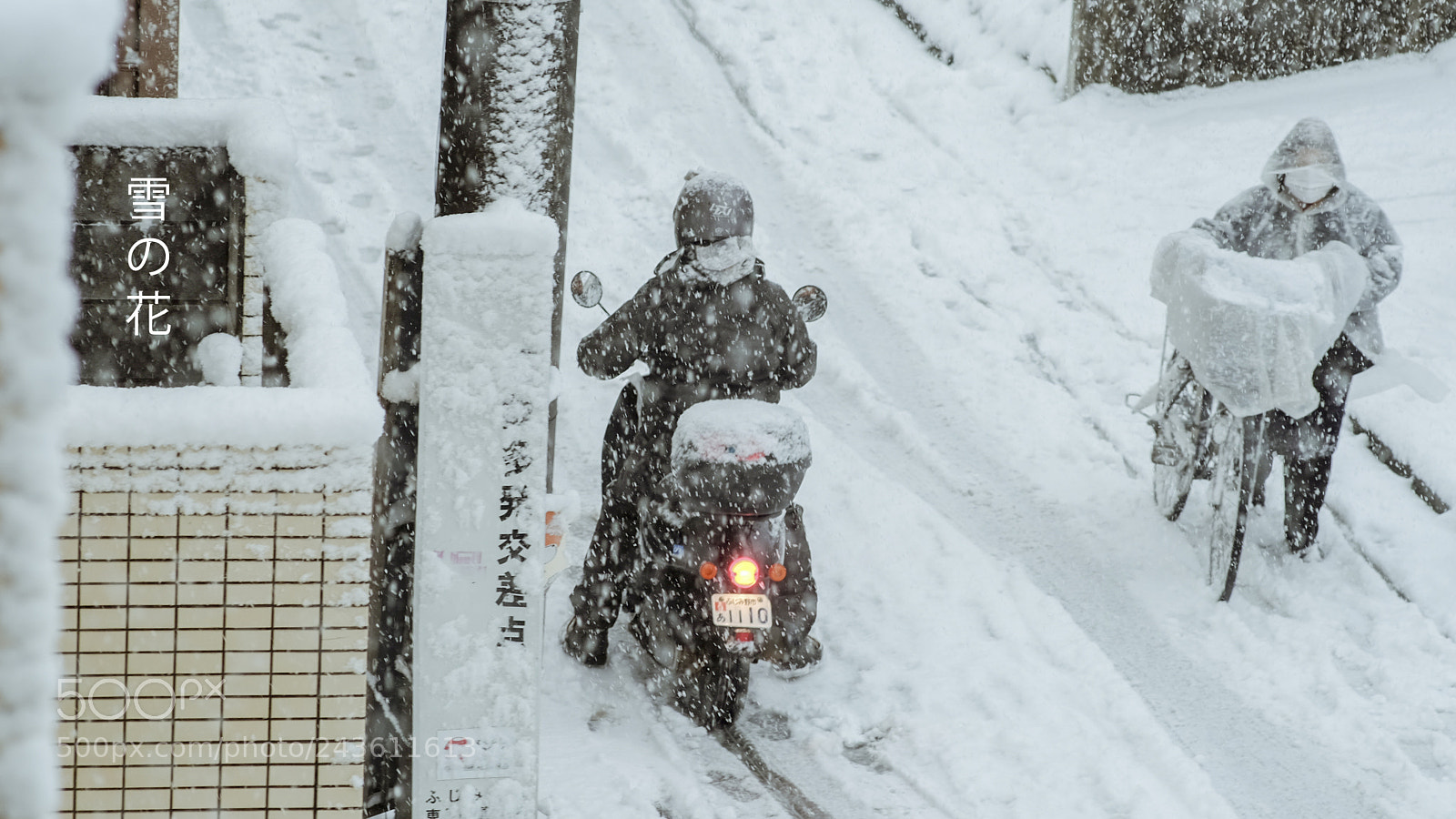 Fujifilm X-T1 sample photo. Snow white photography
