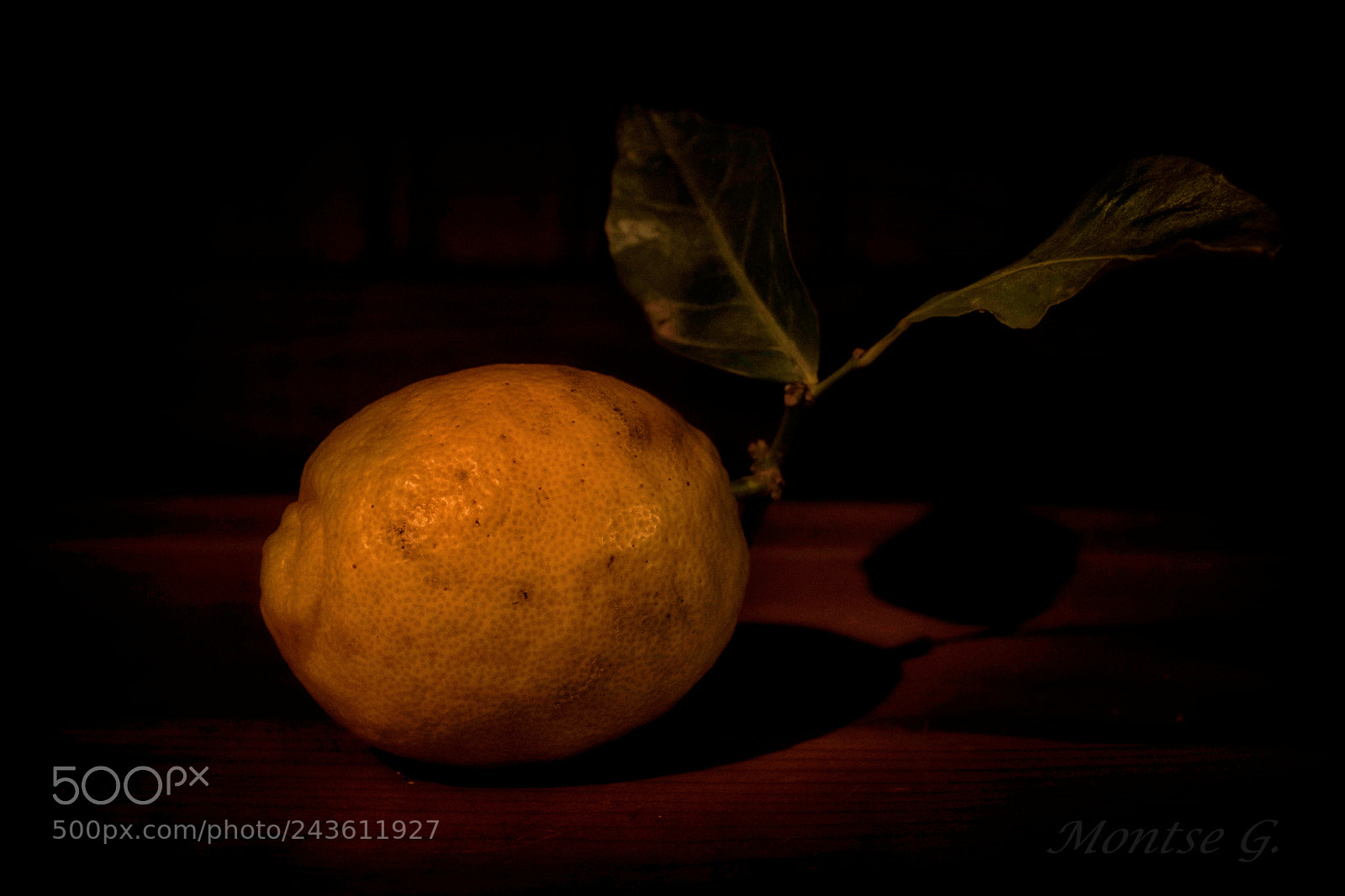 Canon EOS 77D (EOS 9000D / EOS 770D) sample photo. Lemon. photography