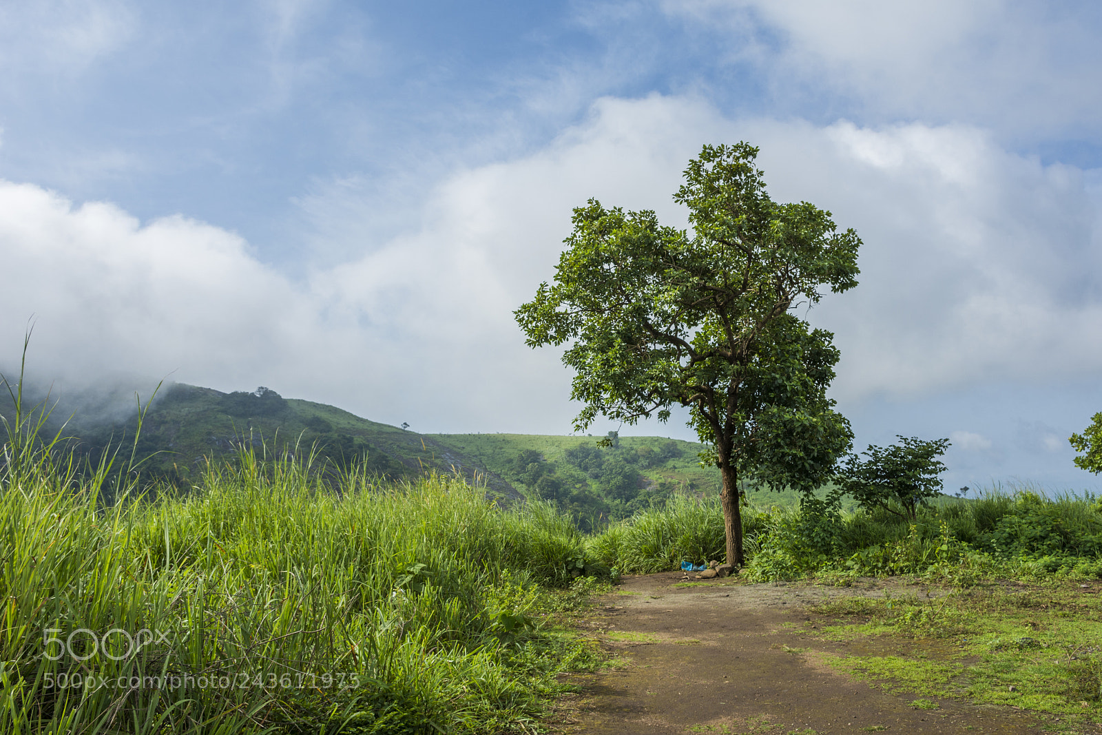 Nikon D7100 sample photo. Nature photography