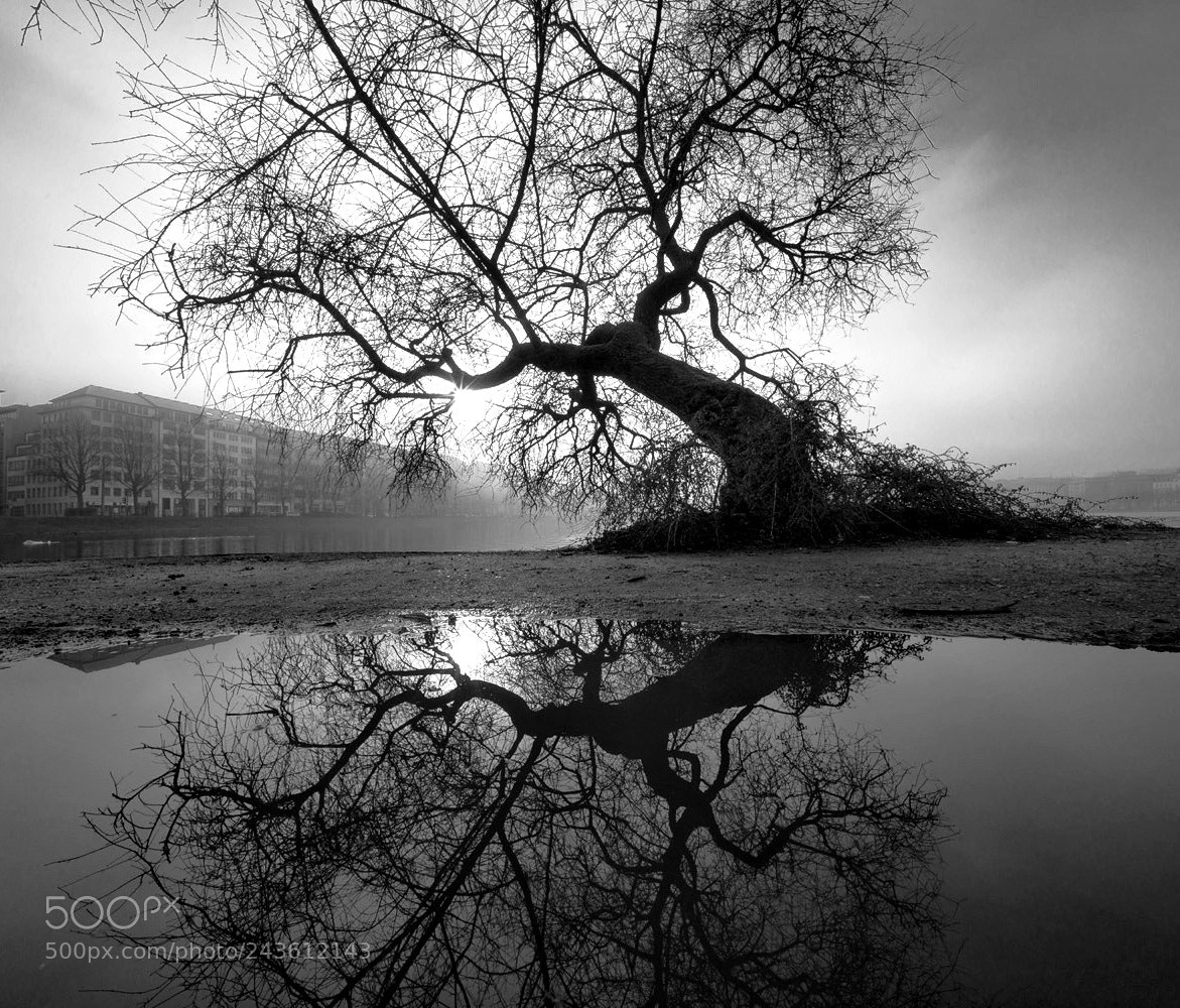 Sony a7R sample photo. City fog photography