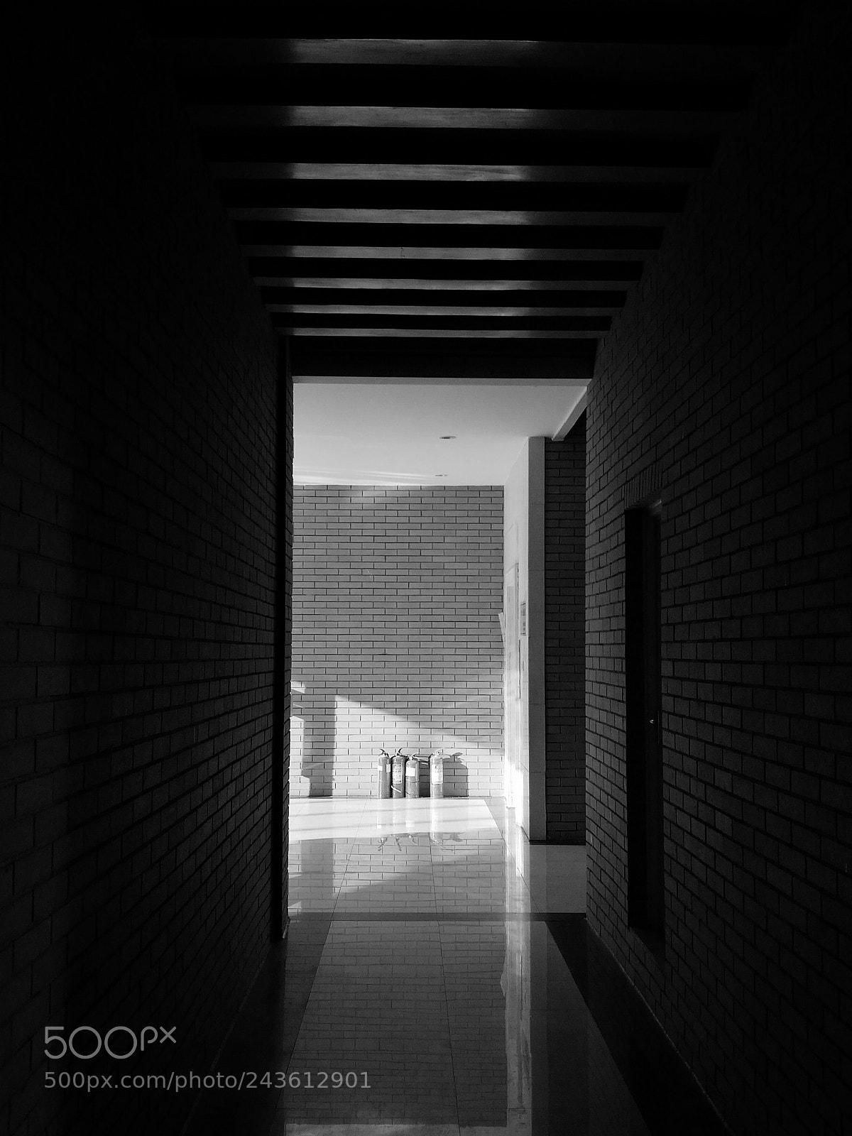 HUAWEI Honor 8 sample photo. 光 photography